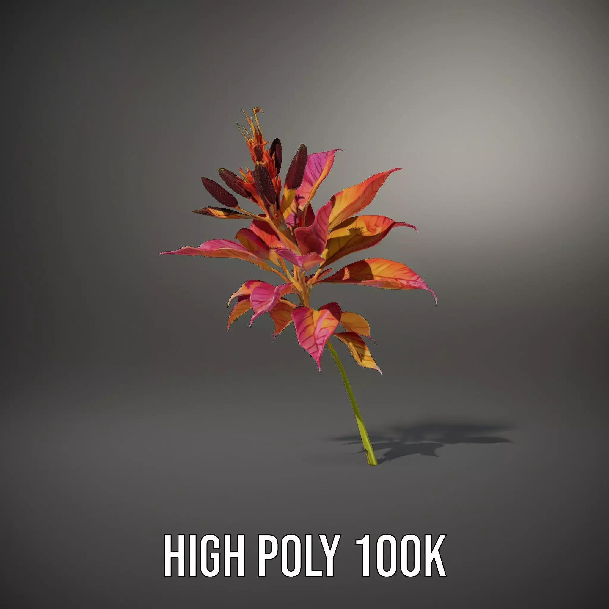 Vibrant Floral Arrangement model pack Low-poly 3D model_11