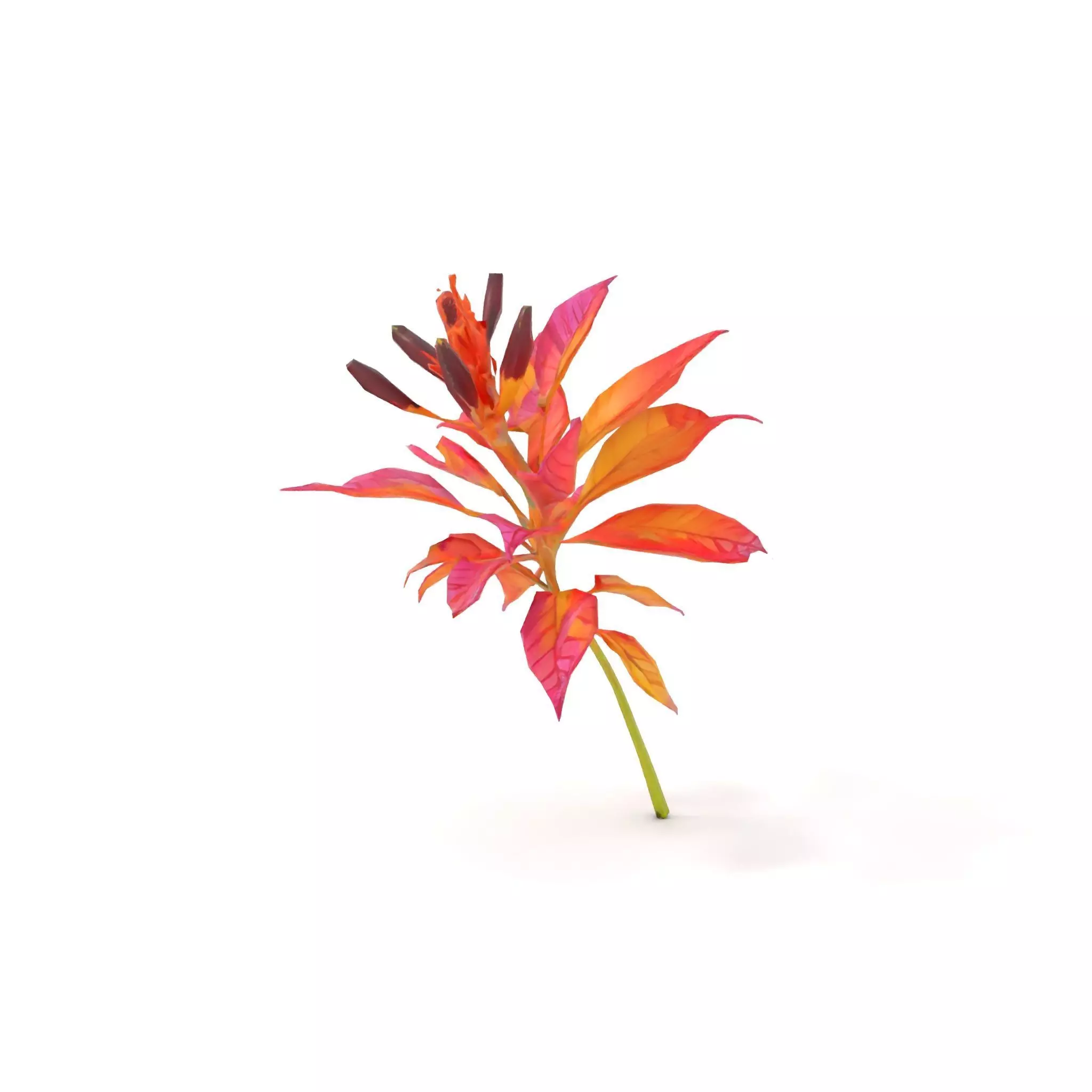 Vibrant Floral Arrangement model pack Low-poly 3D model_8
