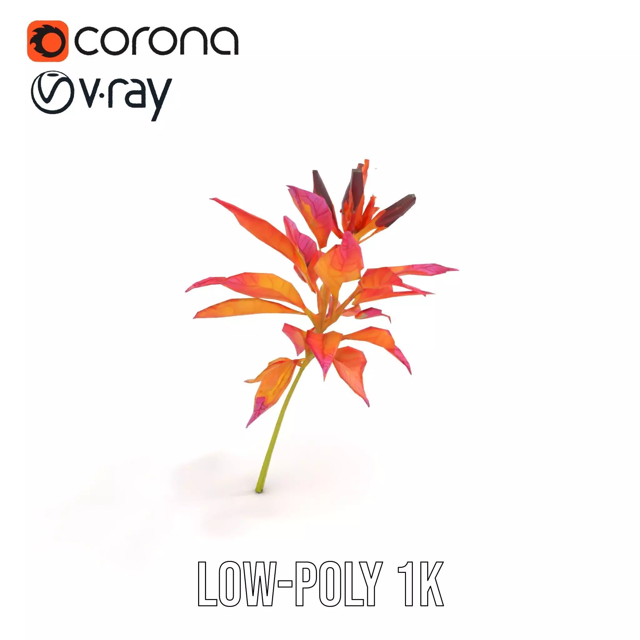 Vibrant Floral Arrangement model pack Low-poly 3D model_13