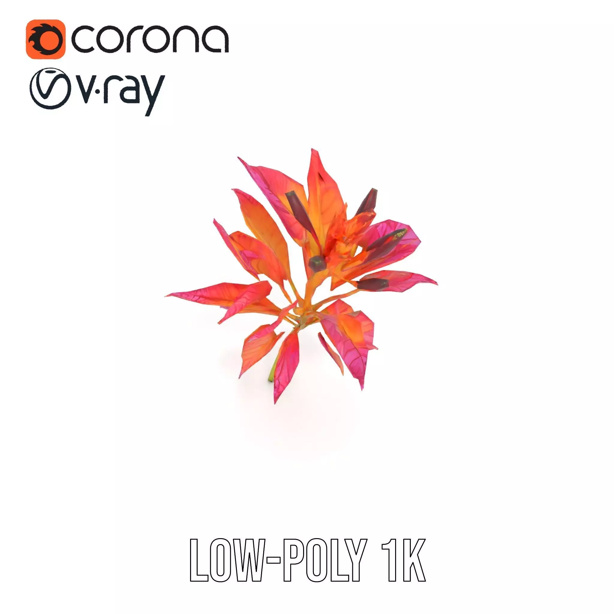 Vibrant Floral Arrangement model pack Low-poly 3D model_20