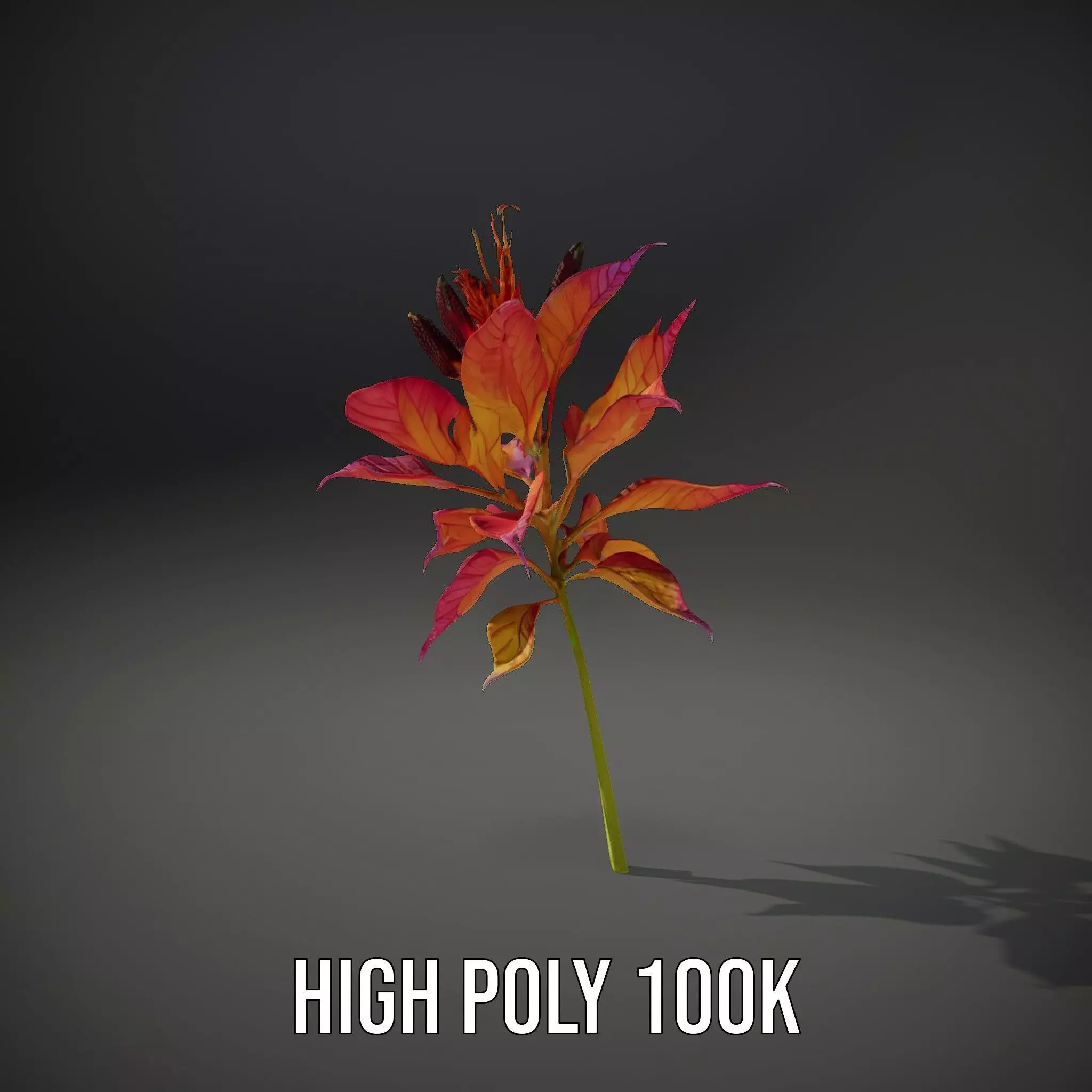 Vibrant Floral Arrangement model pack Low-poly 3D model_9