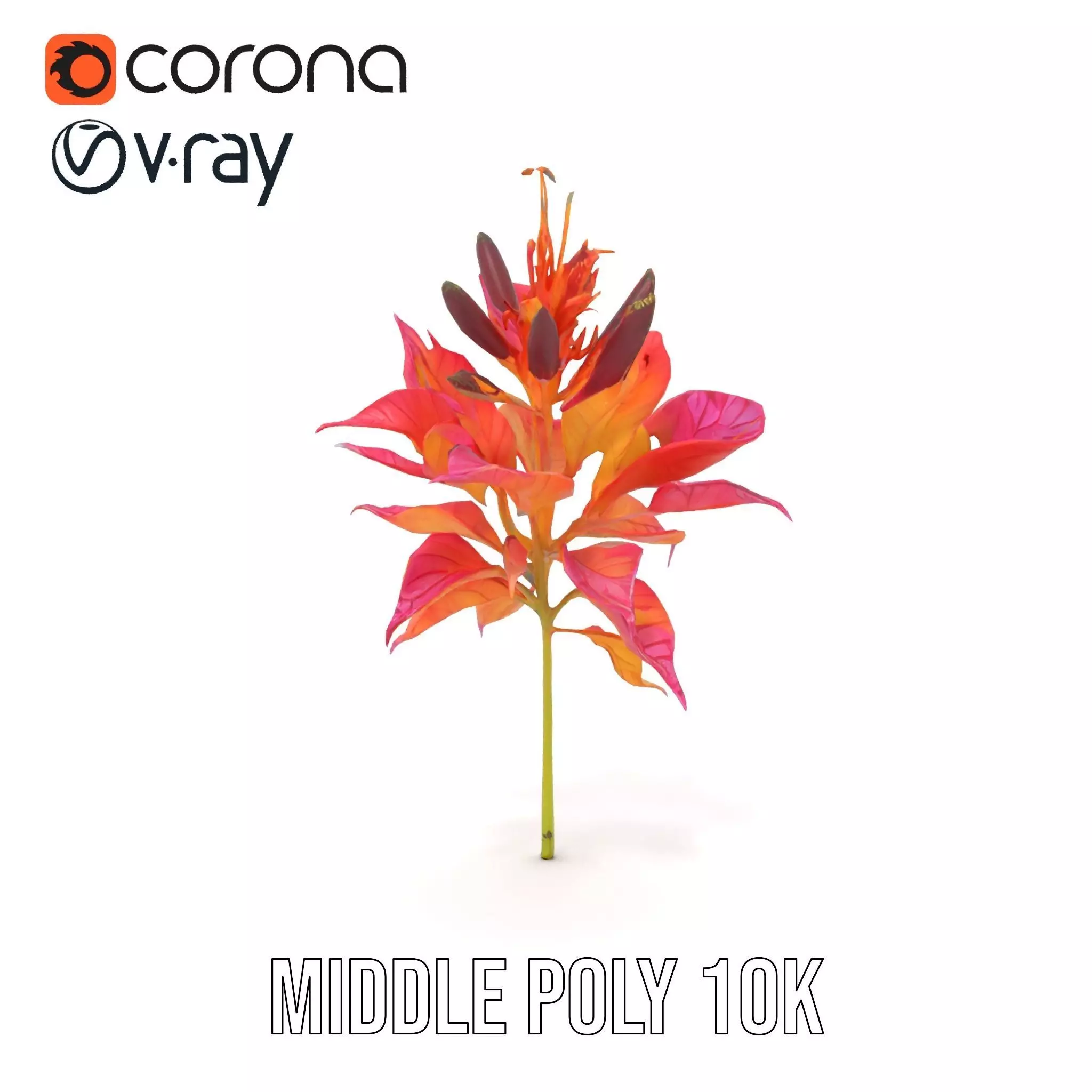Vibrant Floral Arrangement model pack Low-poly 3D model_12