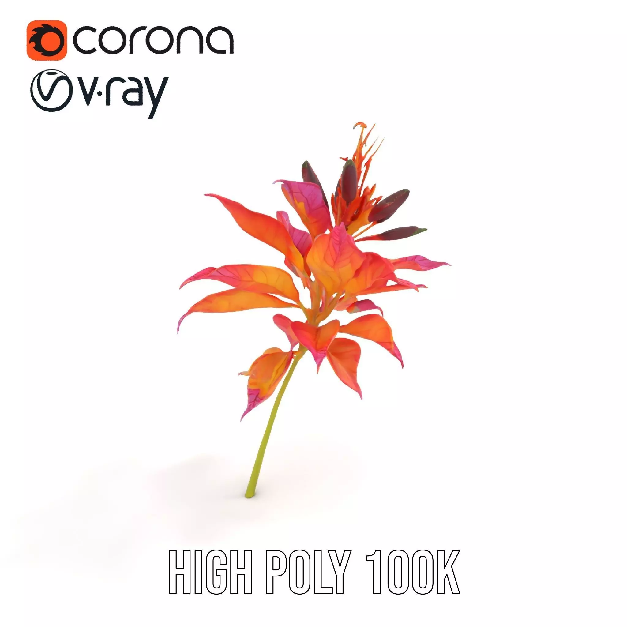 Vibrant Floral Arrangement model pack Low-poly 3D model_27