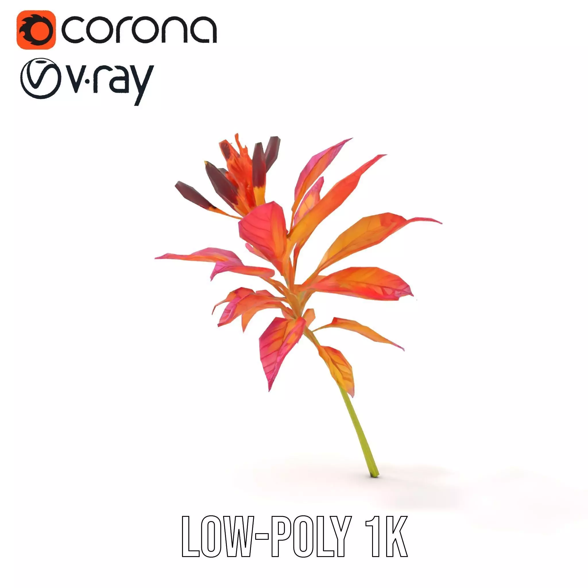 Vibrant Floral Arrangement model pack Low-poly 3D model_10