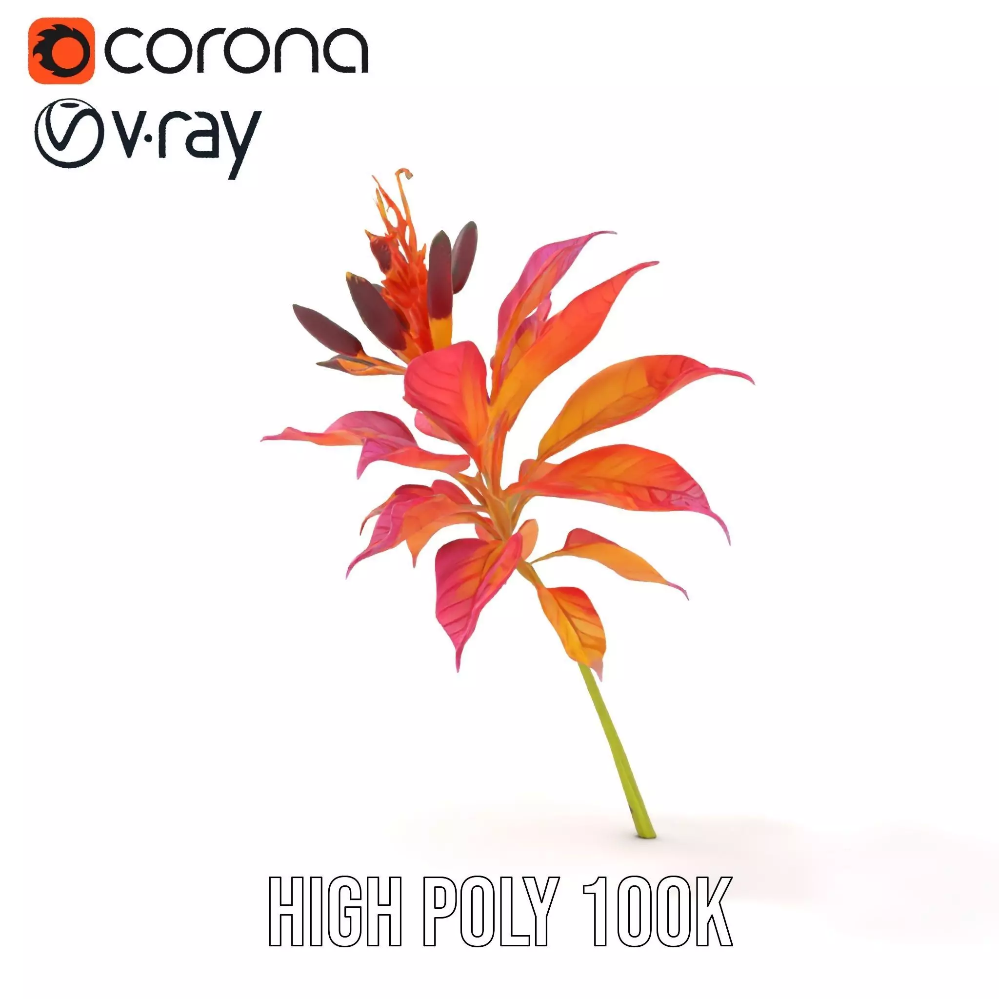 Vibrant Floral Arrangement model pack Low-poly 3D model_32