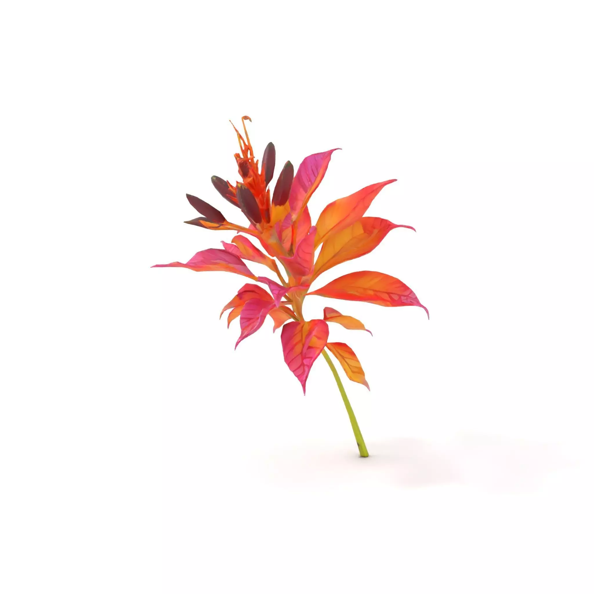 Vibrant Floral Arrangement model pack Low-poly 3D model_7