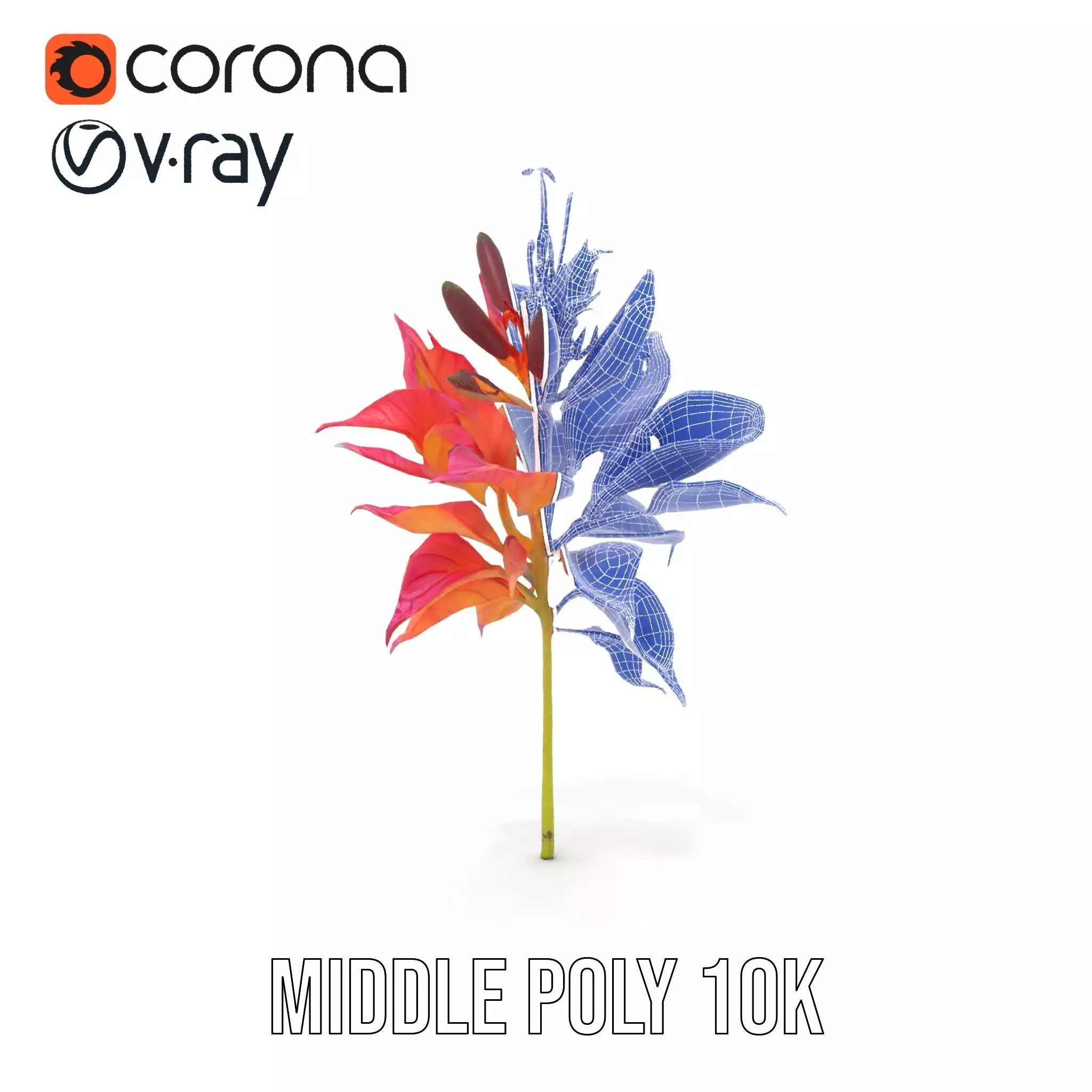 Vibrant Floral Arrangement model pack Low-poly 3D model_30