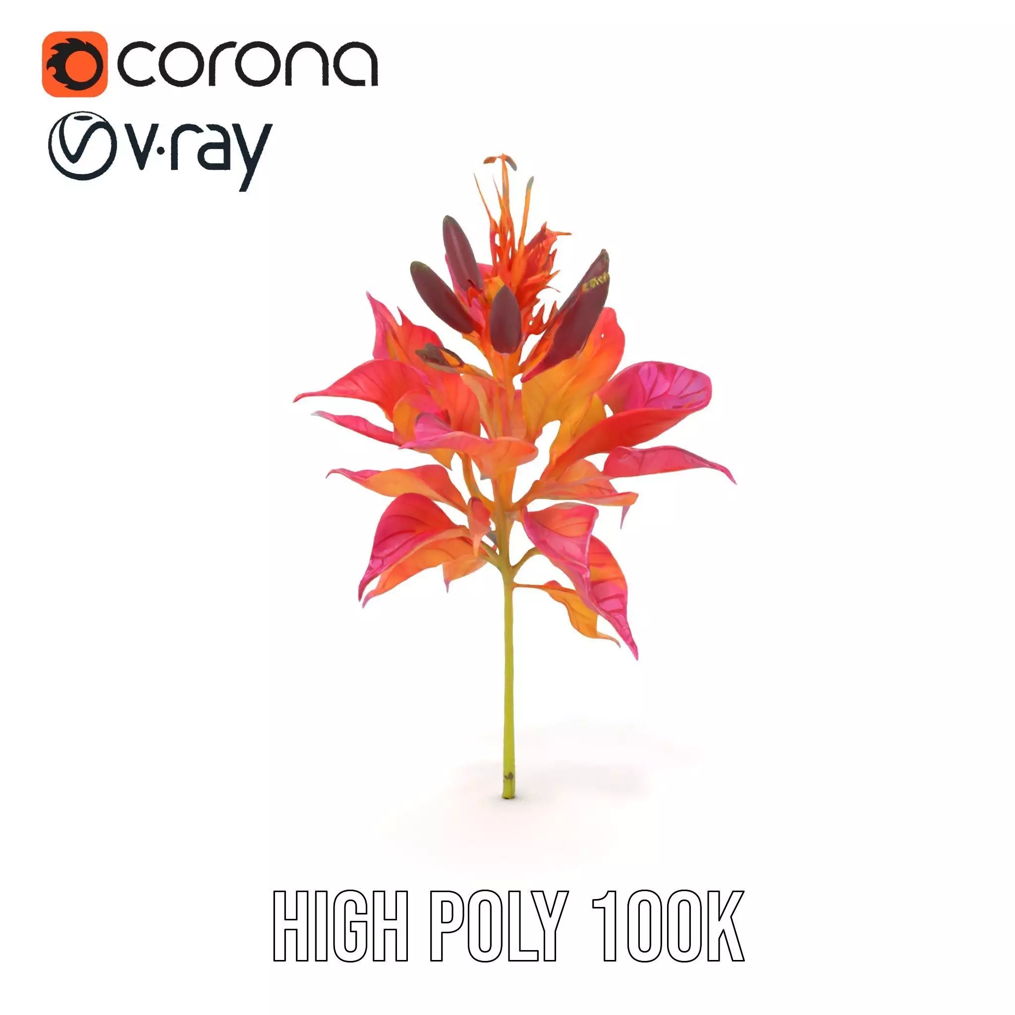 Vibrant Floral Arrangement model pack Low-poly 3D model_16