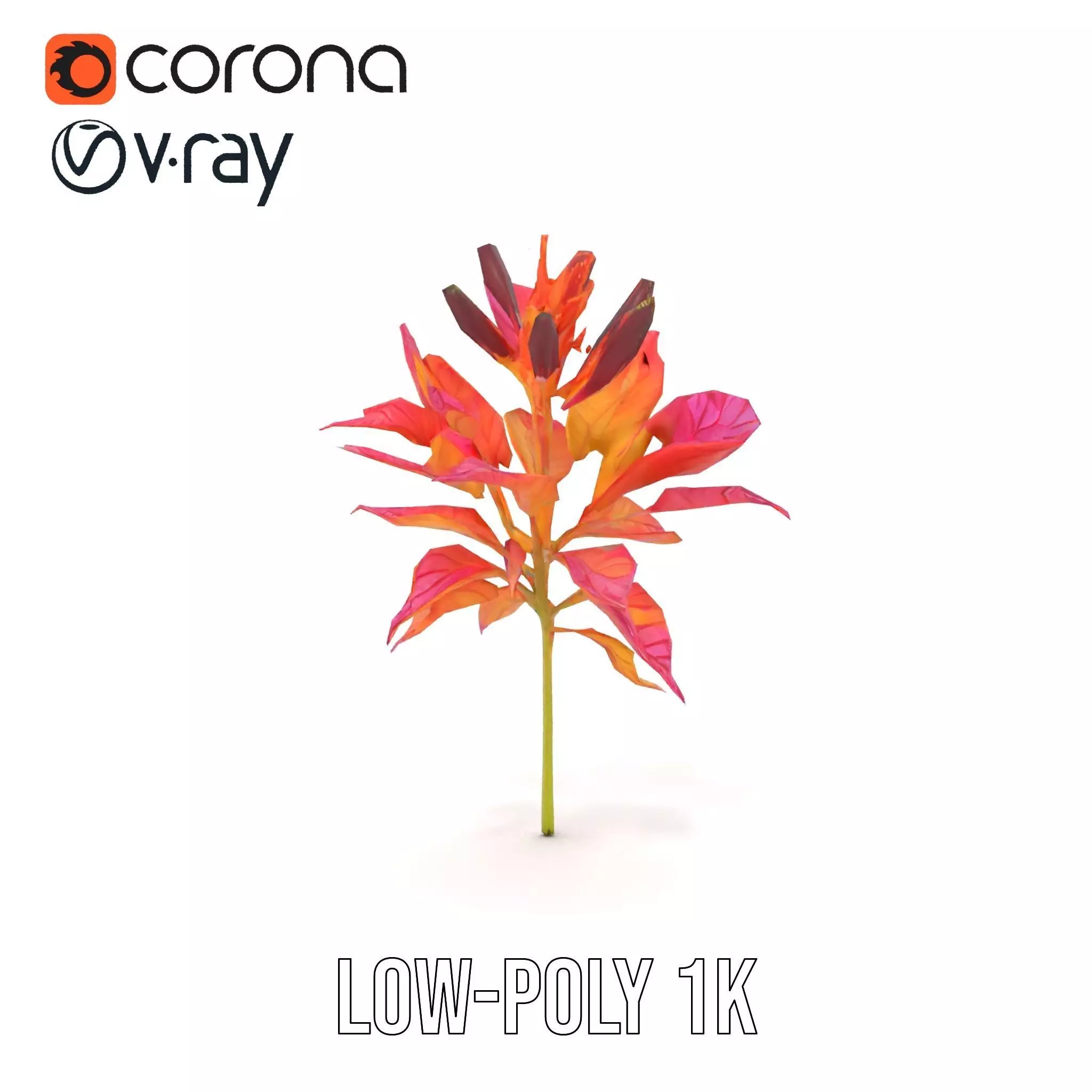 Vibrant Floral Arrangement model pack Low-poly 3D model_18