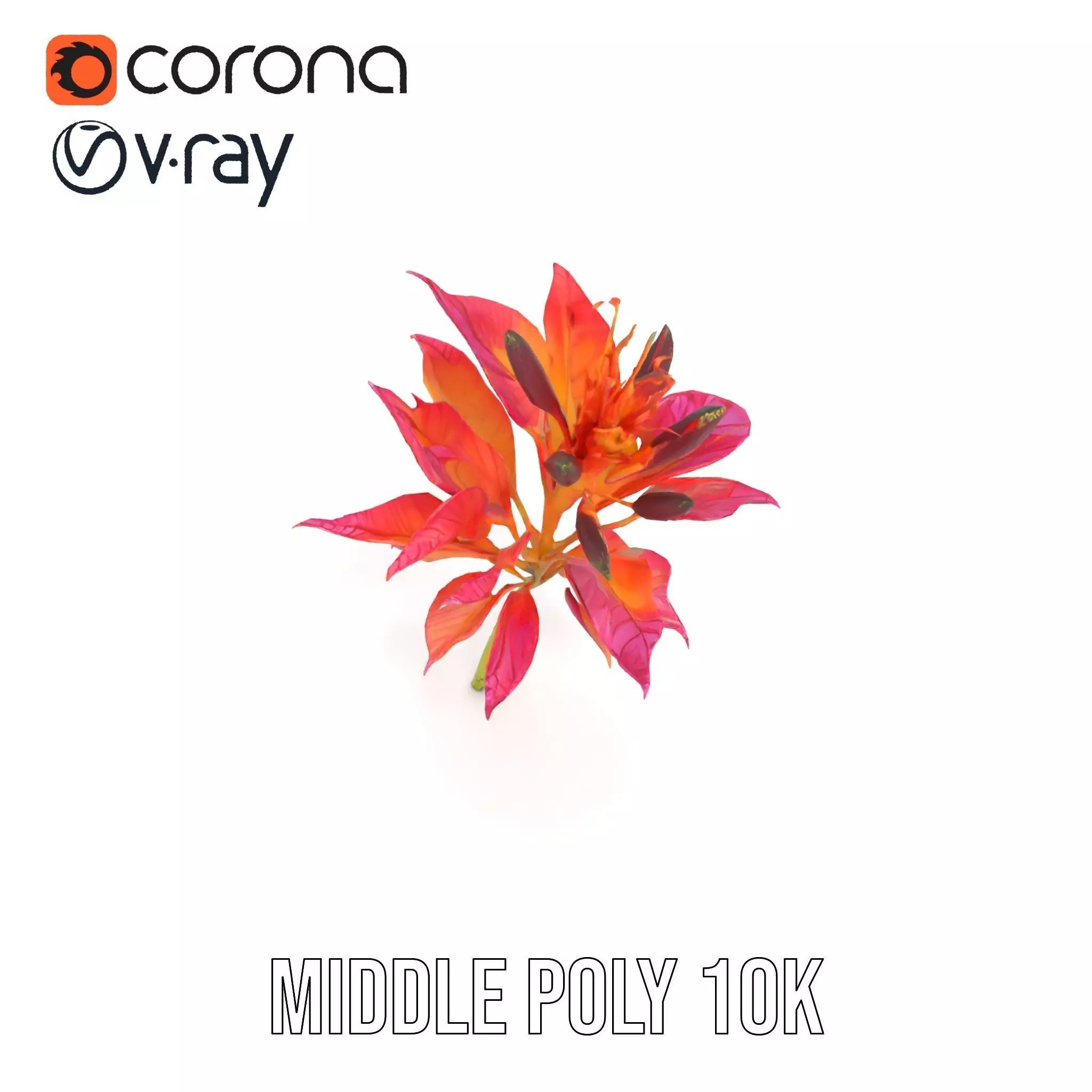 Vibrant Floral Arrangement model pack Low-poly 3D model_6