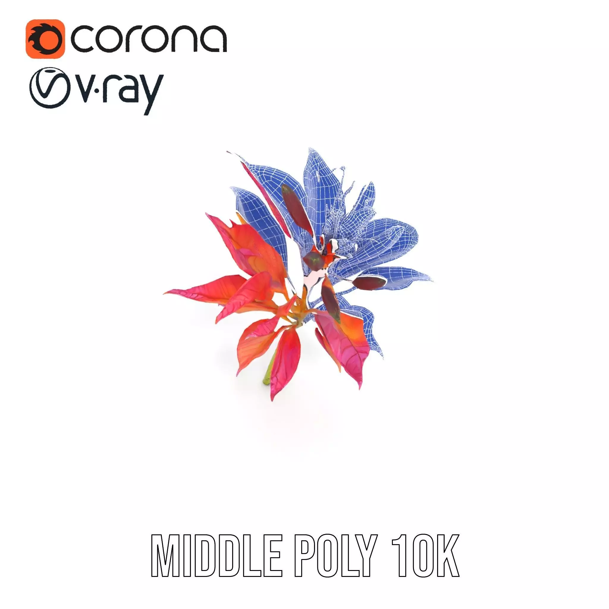 Vibrant Floral Arrangement model pack Low-poly 3D model_28