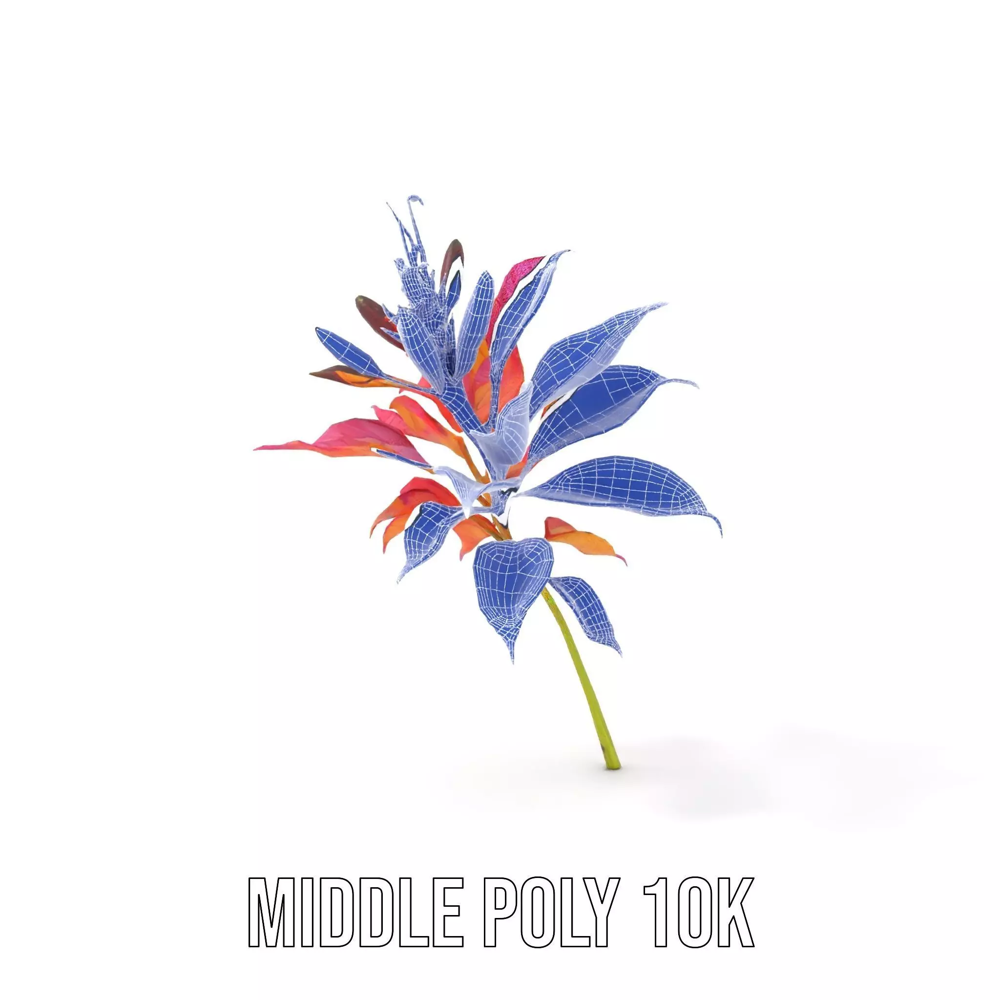 Vibrant Floral Arrangement model pack Low-poly 3D model_22