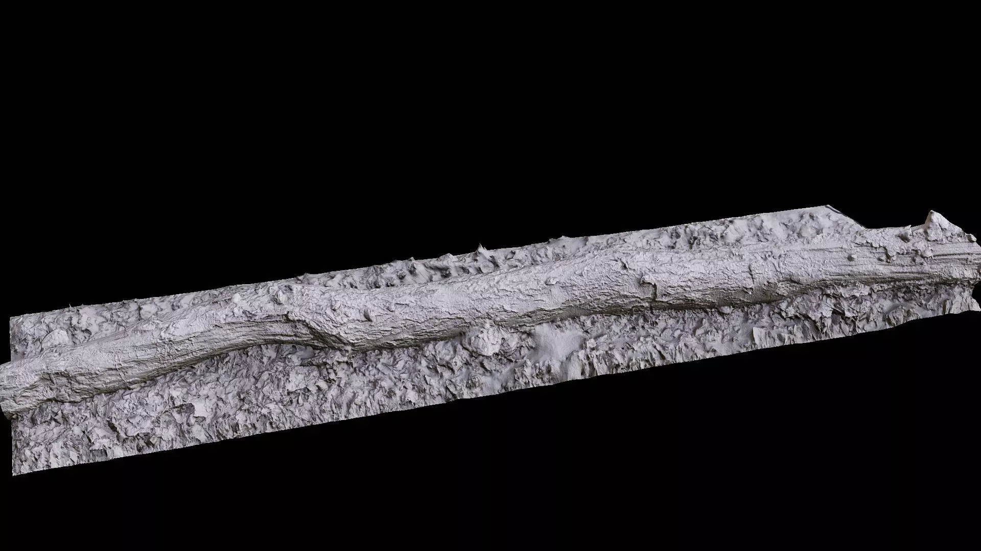 broken birch tree trunk PBR photogrammetry Low-poly 3D model_6