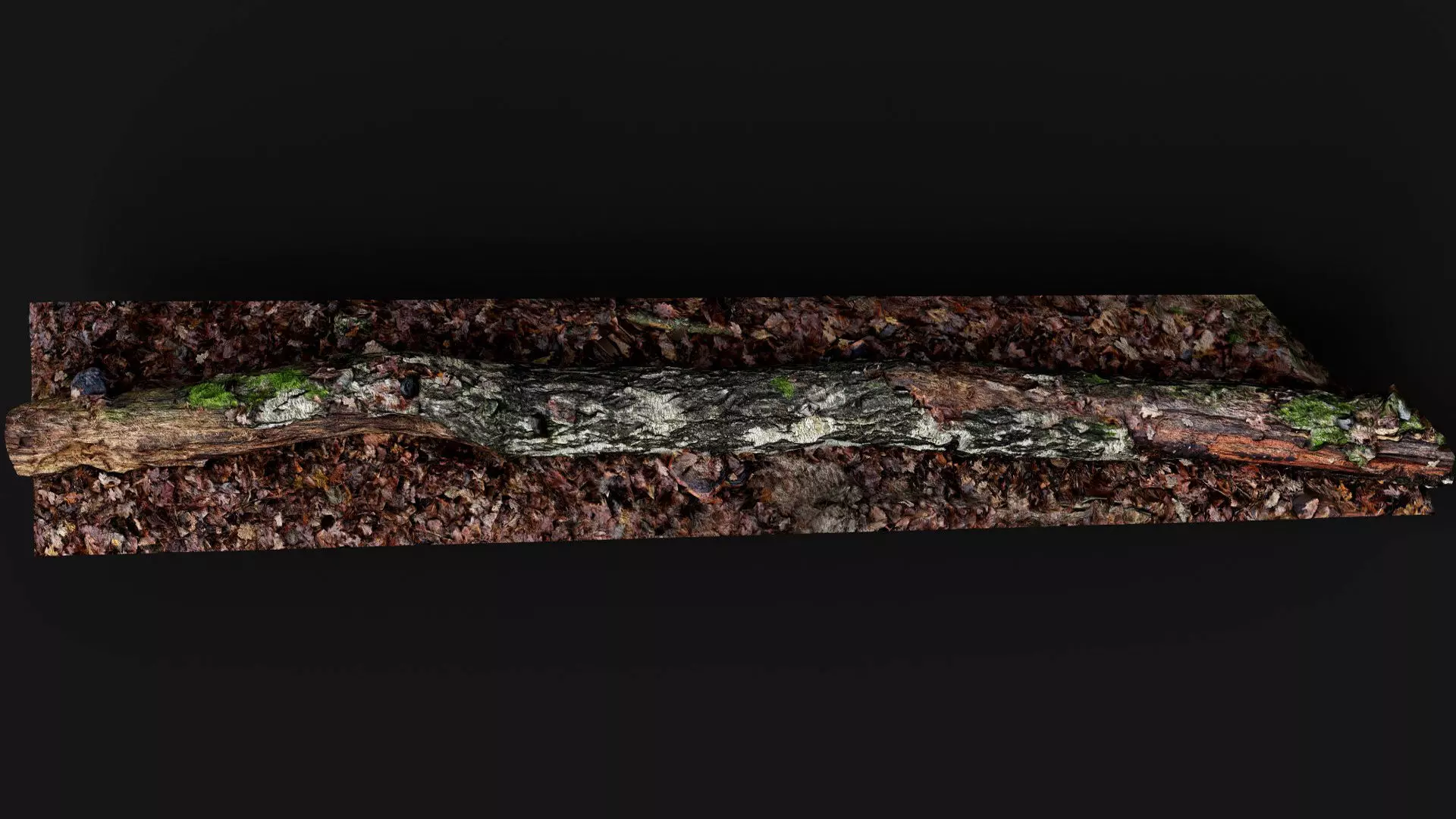 broken birch tree trunk PBR photogrammetry Low-poly 3D model_5