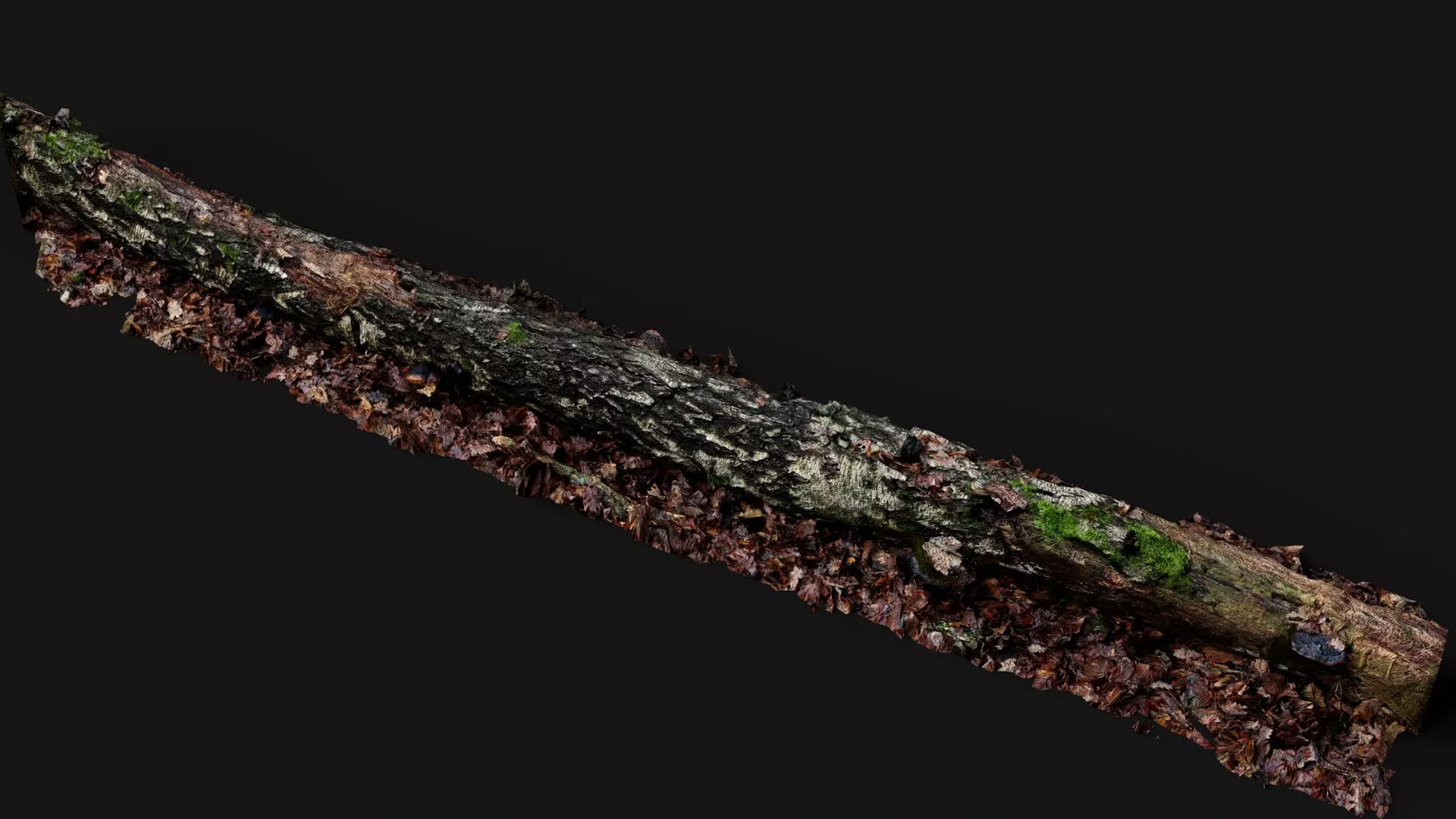 broken birch tree trunk PBR photogrammetry Low-poly 3D model_1