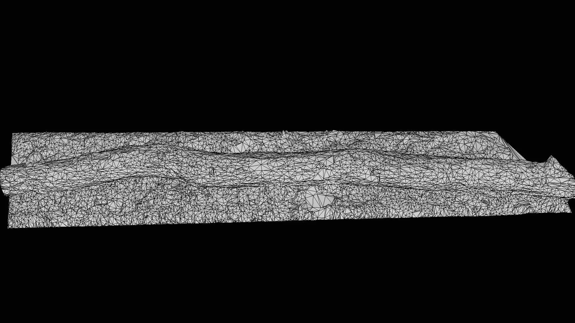 broken birch tree trunk PBR photogrammetry Low-poly 3D model_7