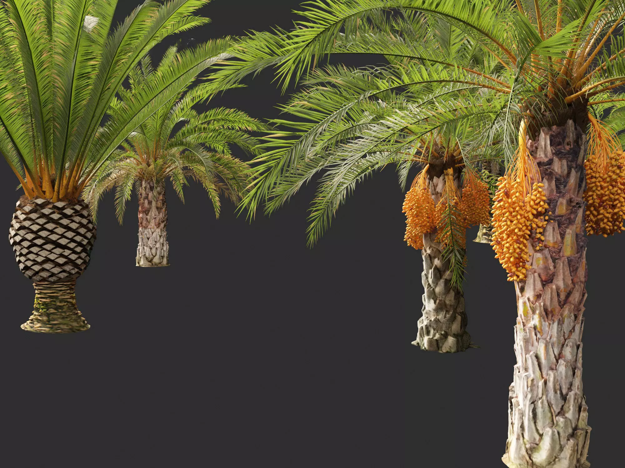 Wind UE5 Plants - phoenix canariensis - Canary Island date palm Low-poly 3D model_11