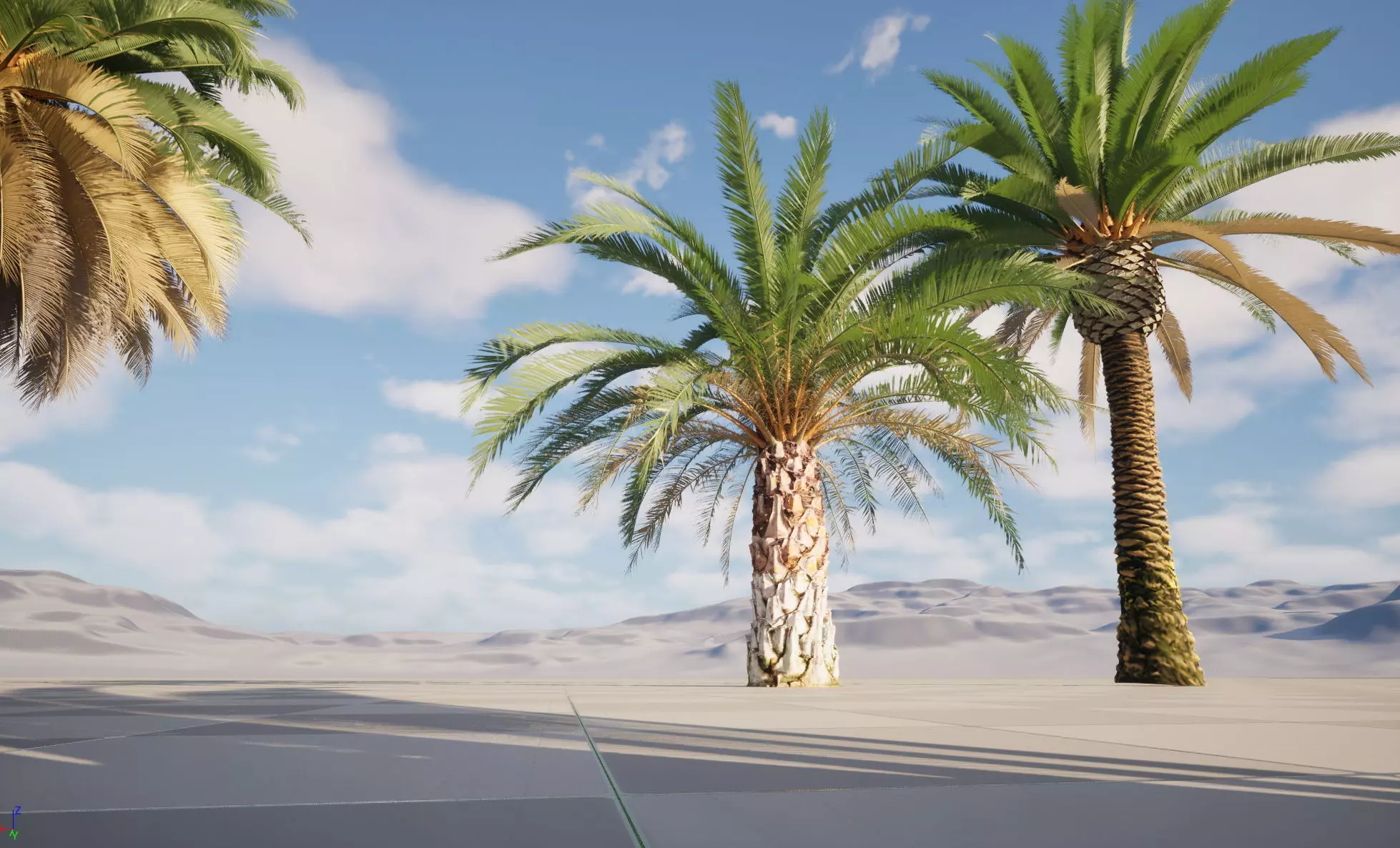 Wind UE5 Plants - phoenix canariensis - Canary Island date palm Low-poly 3D model_2
