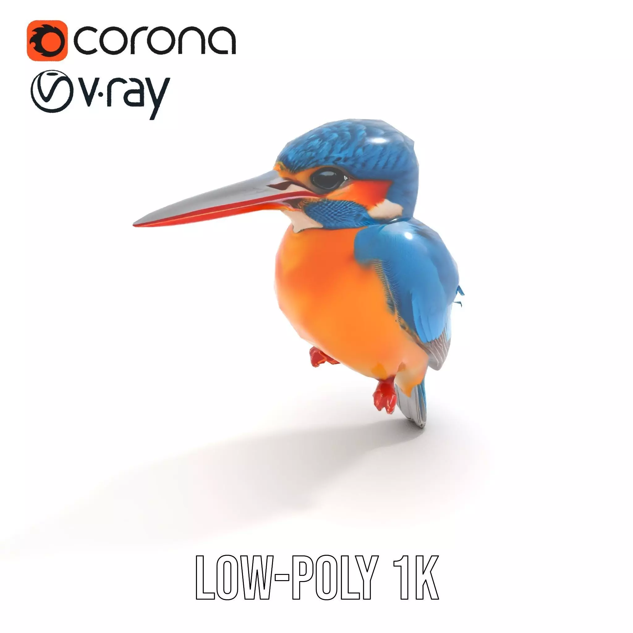 Vibrant Kingfisher Bird model pack Low-poly 3D model_9