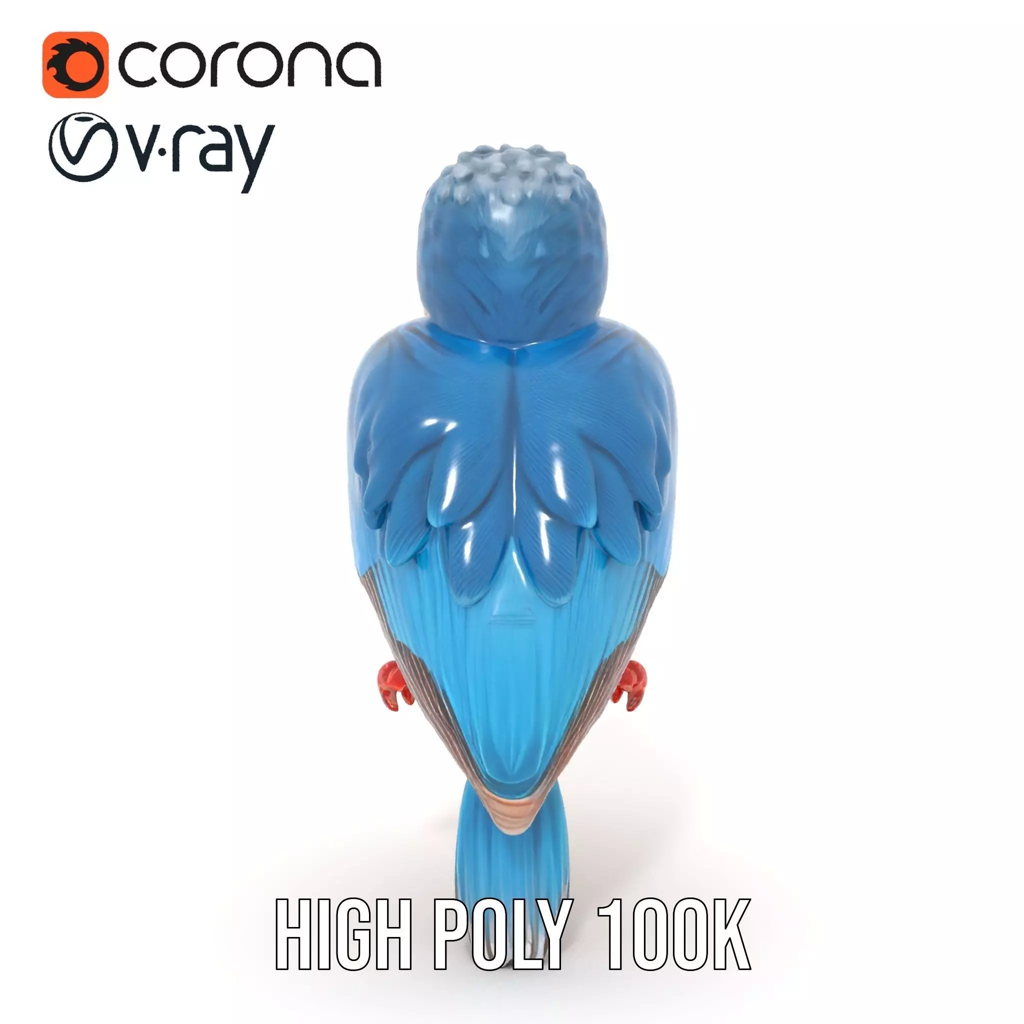 Vibrant Kingfisher Bird model pack Low-poly 3D model_17