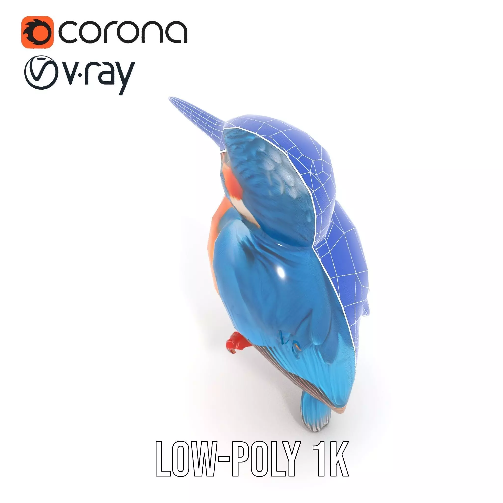 Vibrant Kingfisher Bird model pack Low-poly 3D model_16