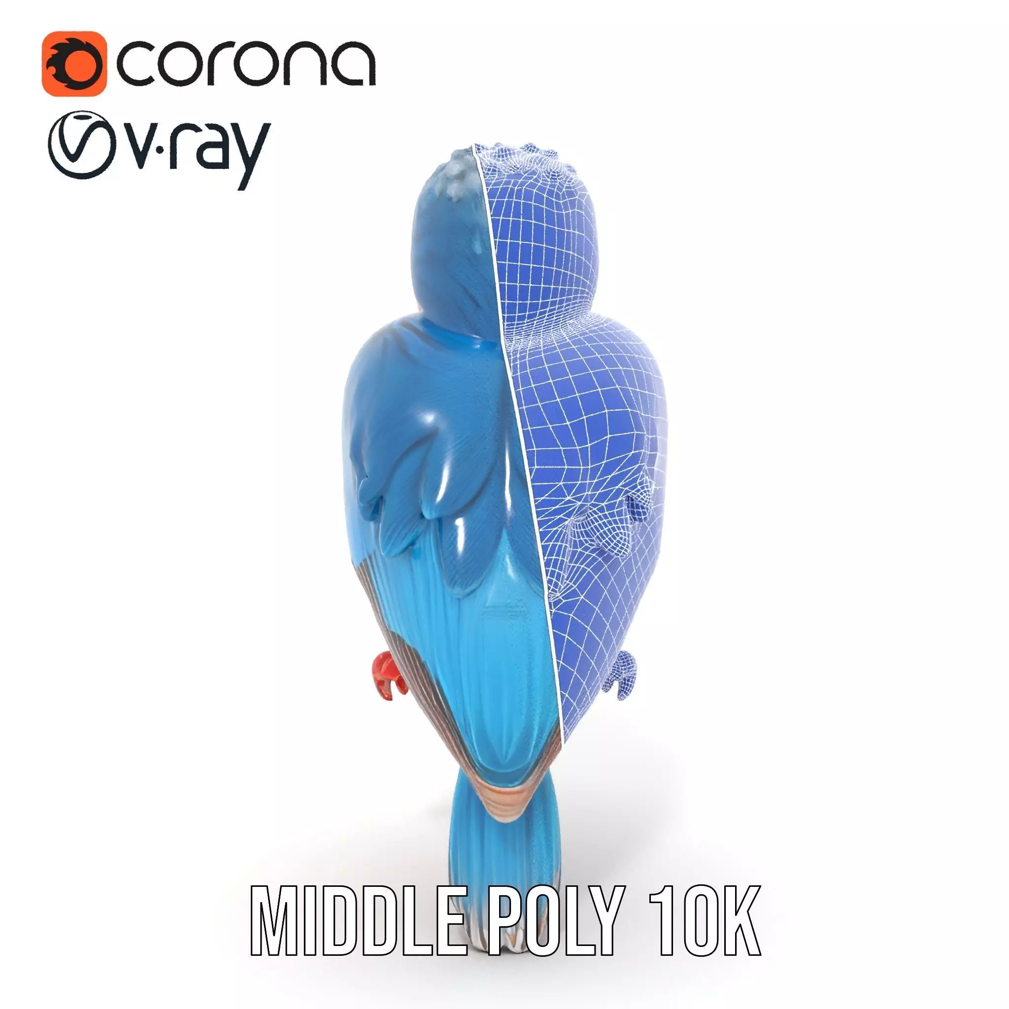 Vibrant Kingfisher Bird model pack Low-poly 3D model_24