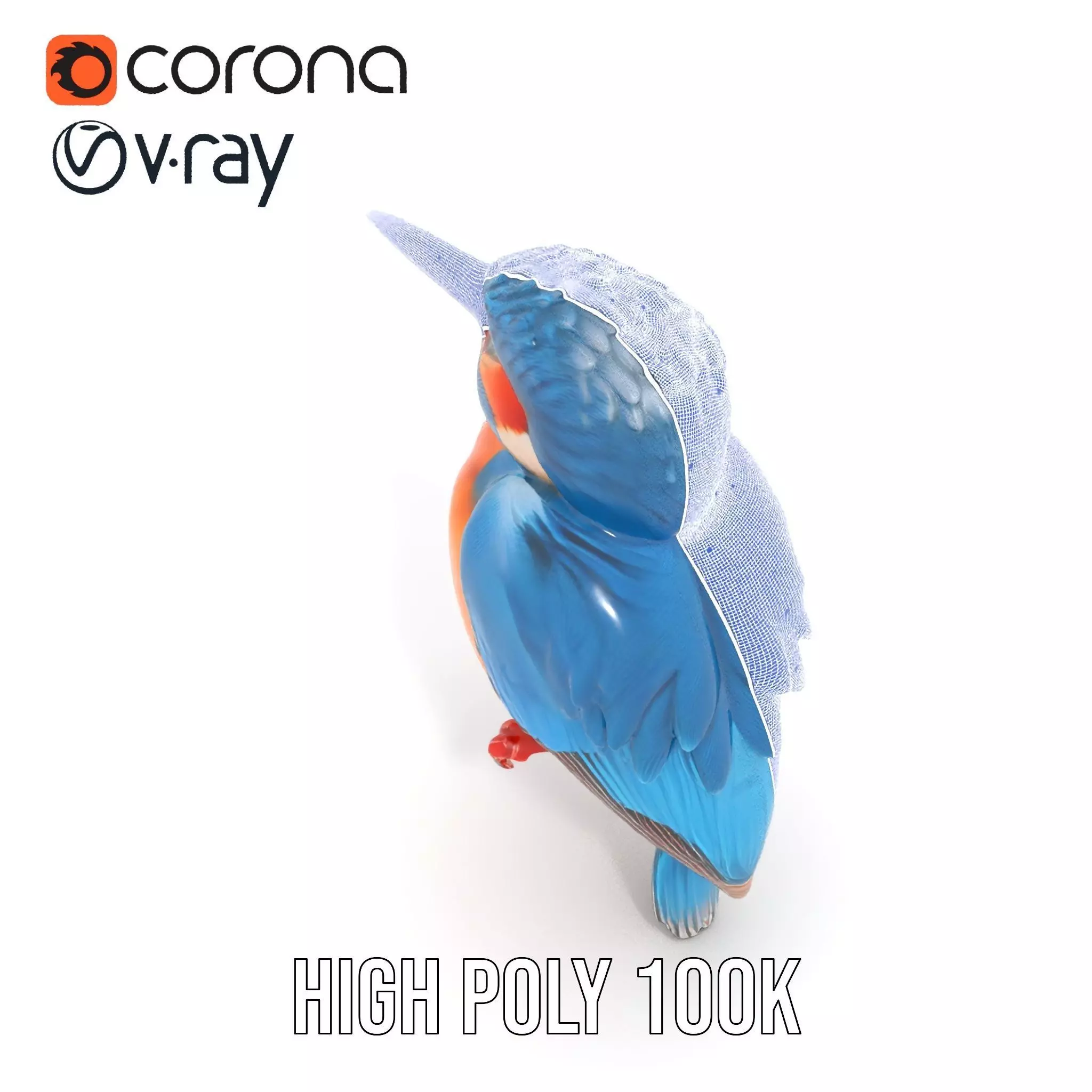 Vibrant Kingfisher Bird model pack Low-poly 3D model_34