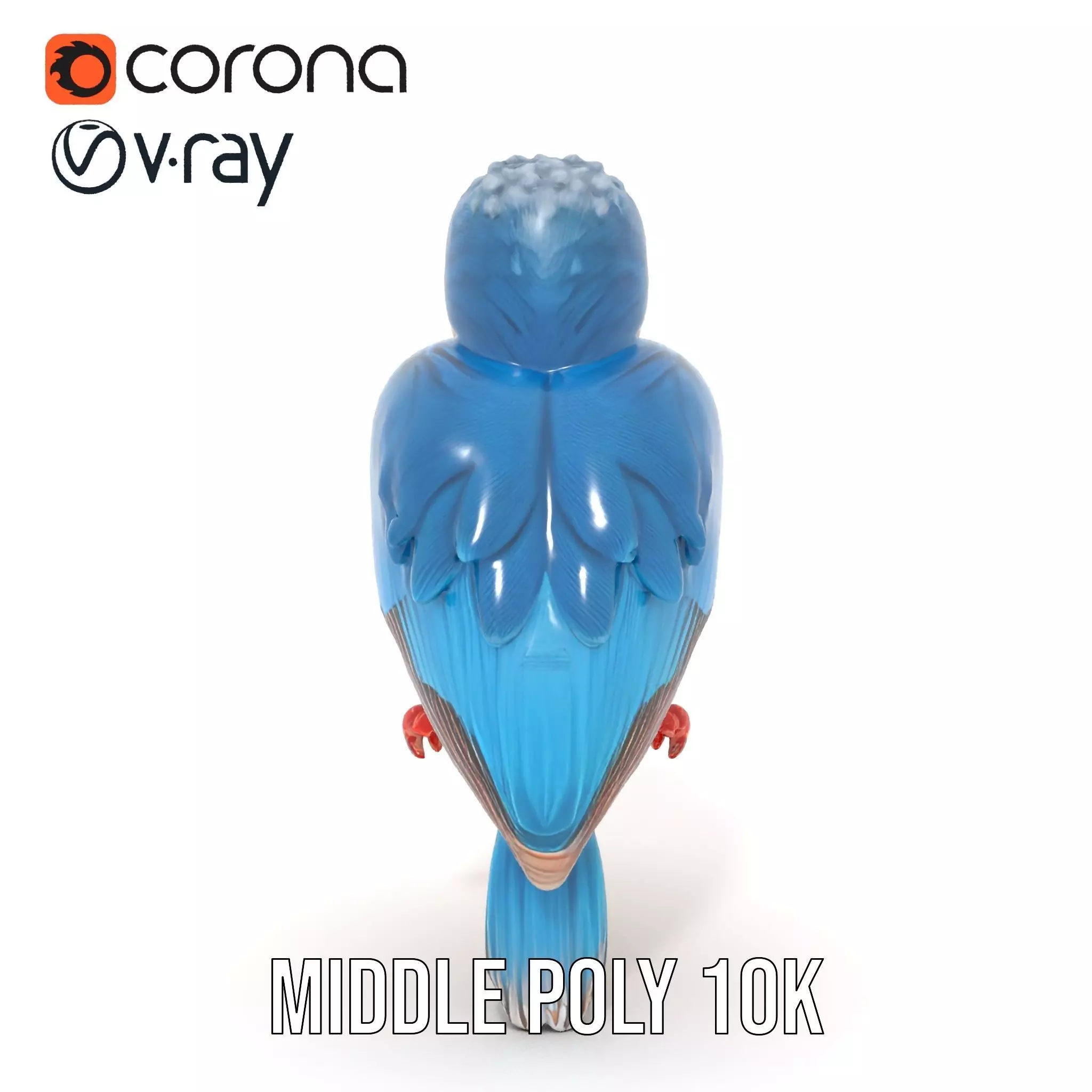 Vibrant Kingfisher Bird model pack Low-poly 3D model_6