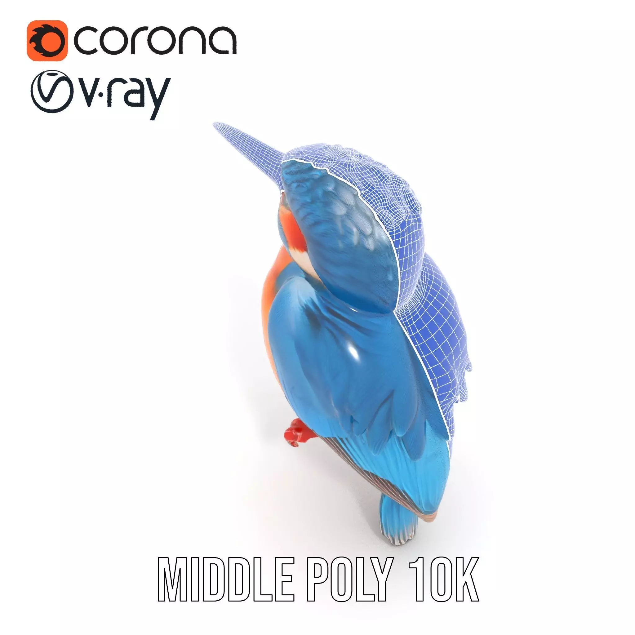 Vibrant Kingfisher Bird model pack Low-poly 3D model_21
