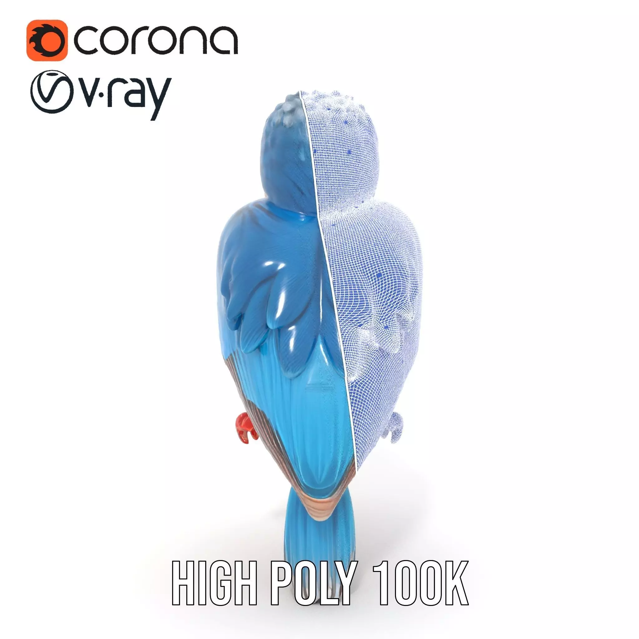 Vibrant Kingfisher Bird model pack Low-poly 3D model_33