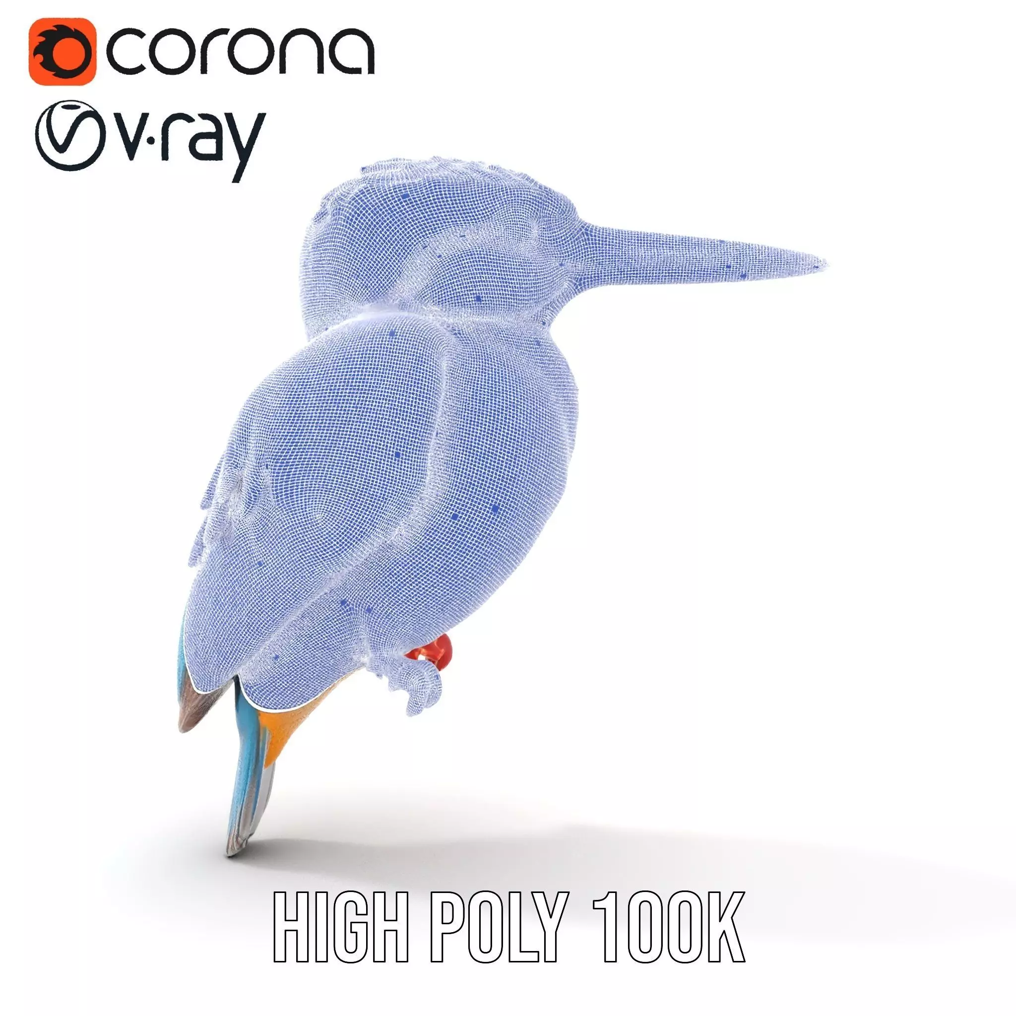 Vibrant Kingfisher Bird model pack Low-poly 3D model_29