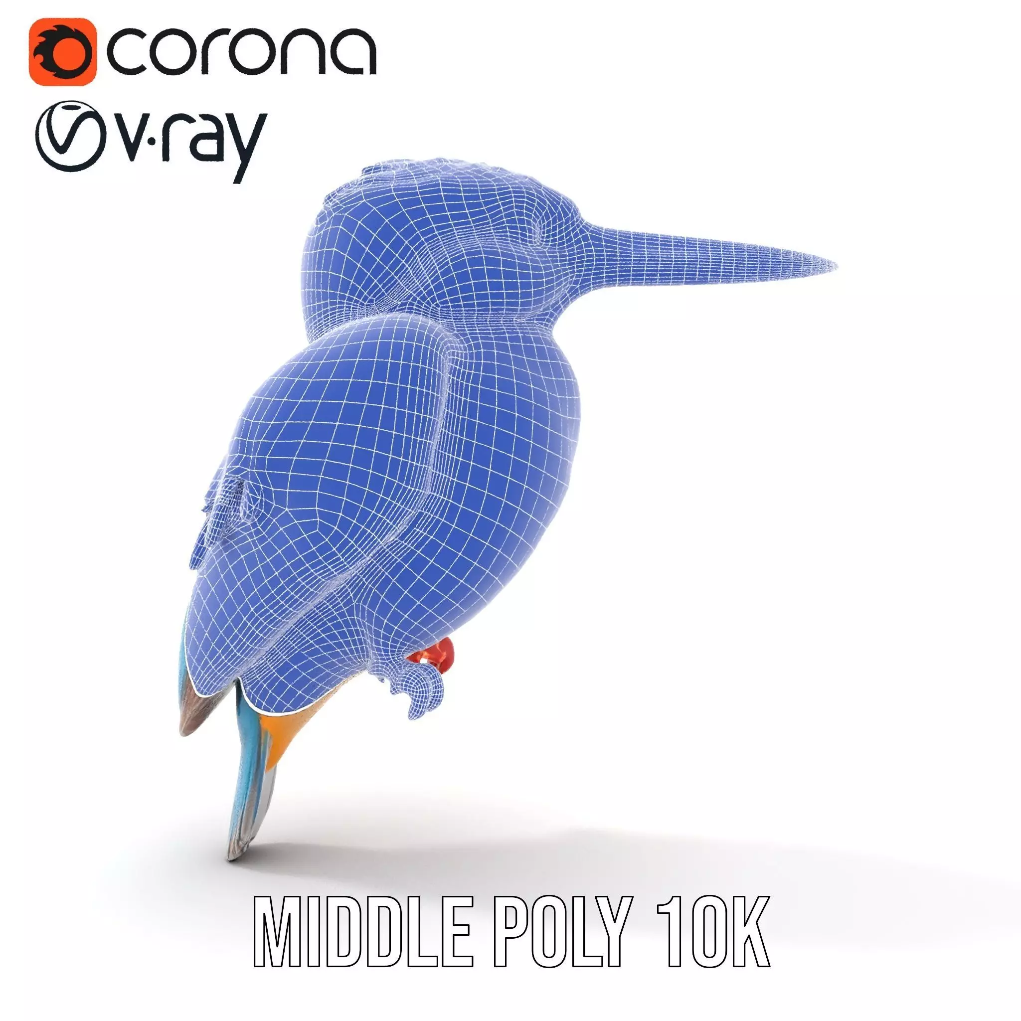 Vibrant Kingfisher Bird model pack Low-poly 3D model_30