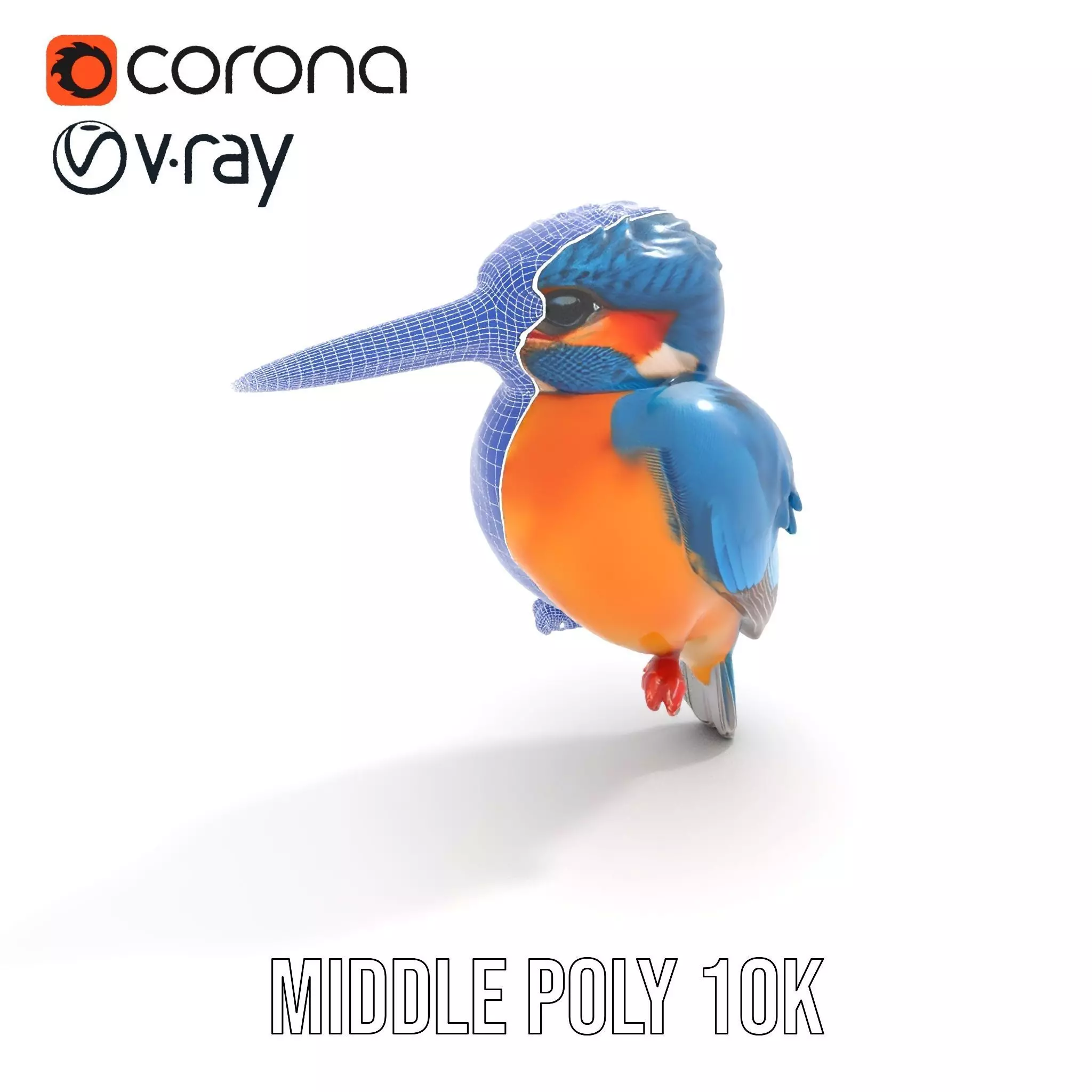 Vibrant Kingfisher Bird model pack Low-poly 3D model_27