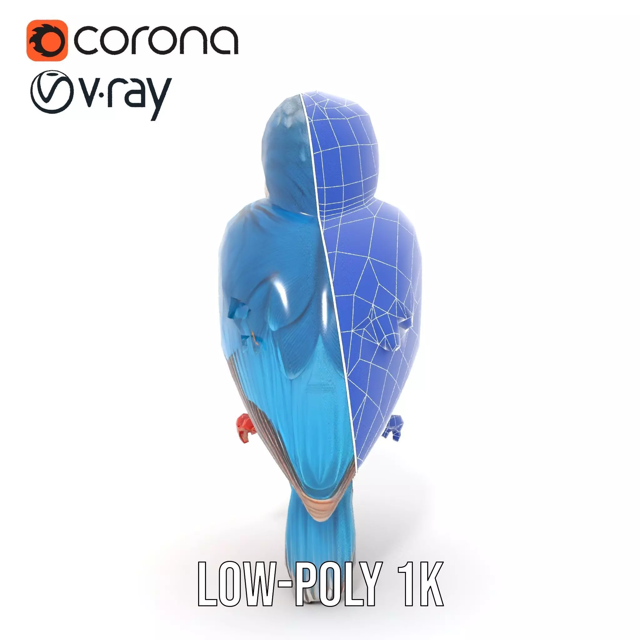 Vibrant Kingfisher Bird model pack Low-poly 3D model_31