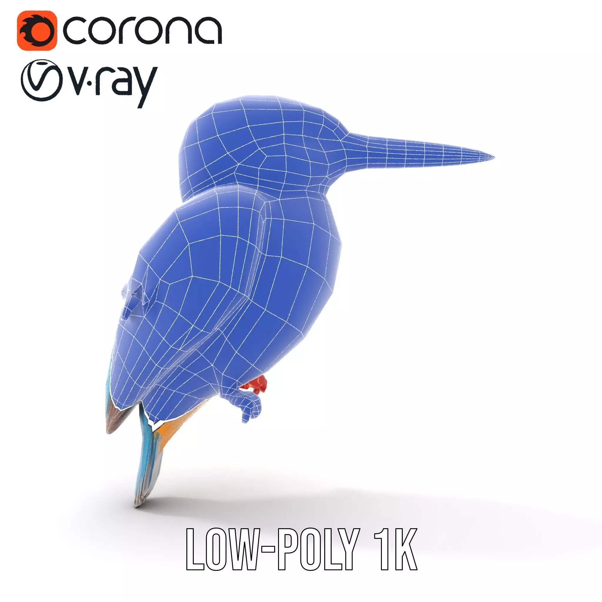 Vibrant Kingfisher Bird model pack Low-poly 3D model_14