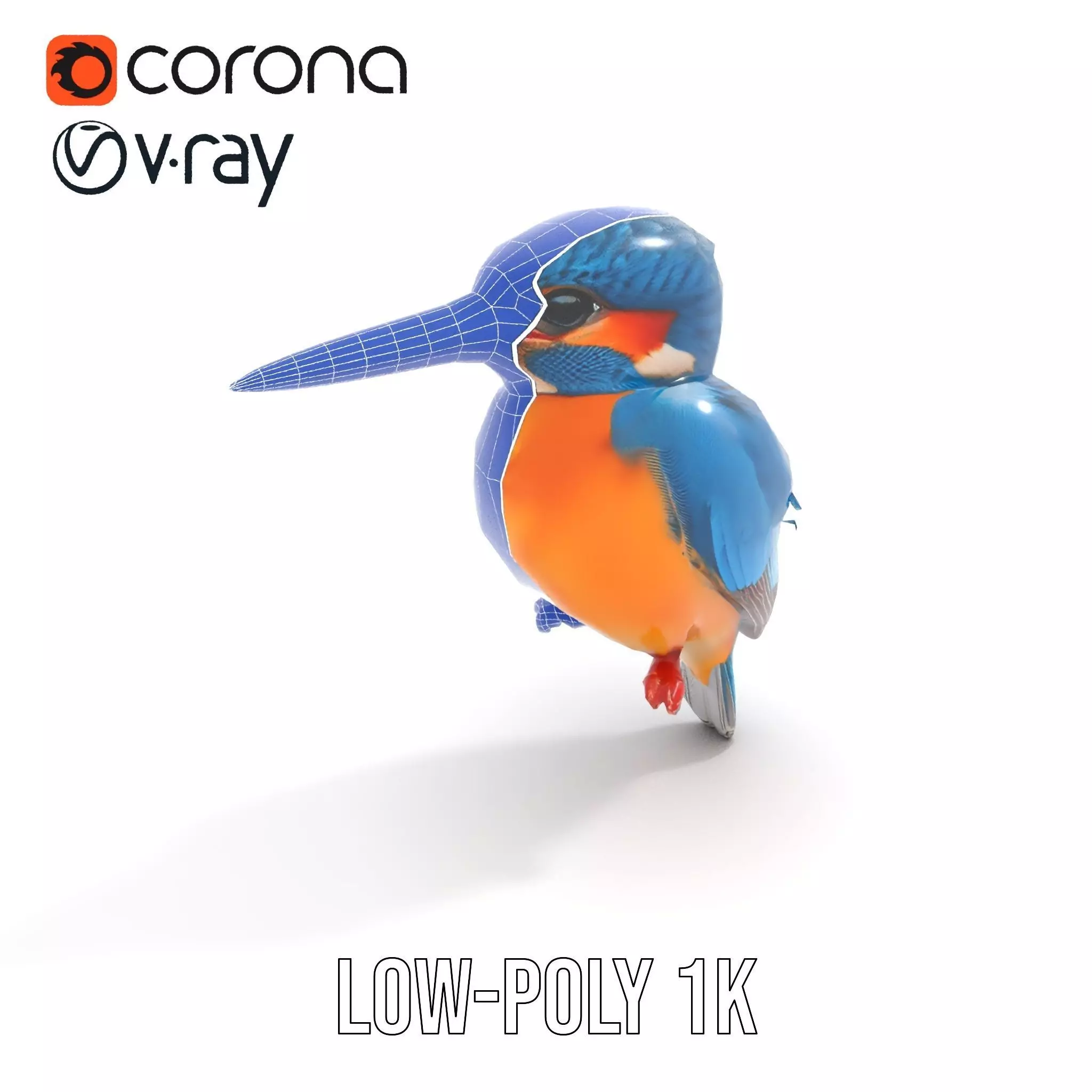 Vibrant Kingfisher Bird model pack Low-poly 3D model_19