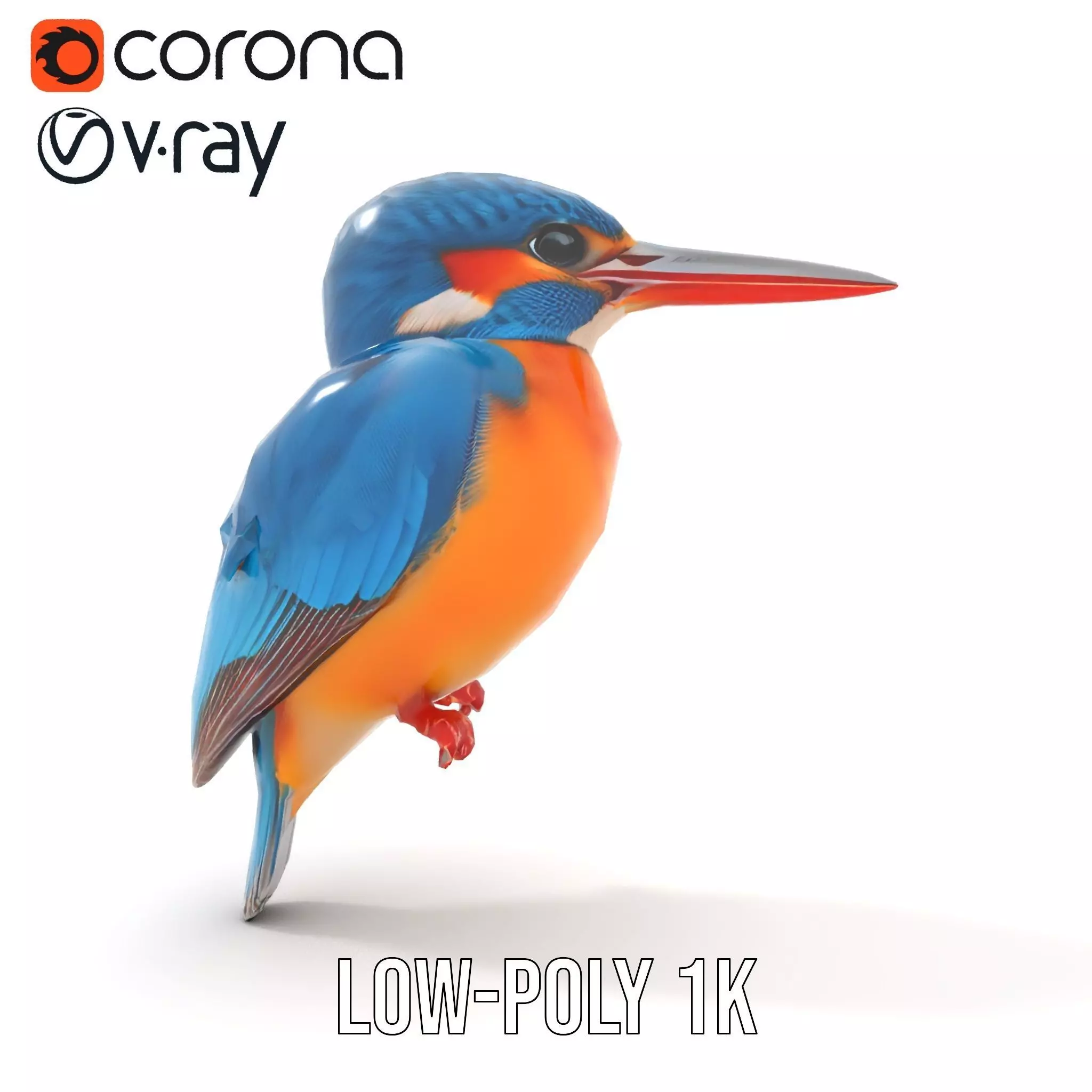 Vibrant Kingfisher Bird model pack Low-poly 3D model_25
