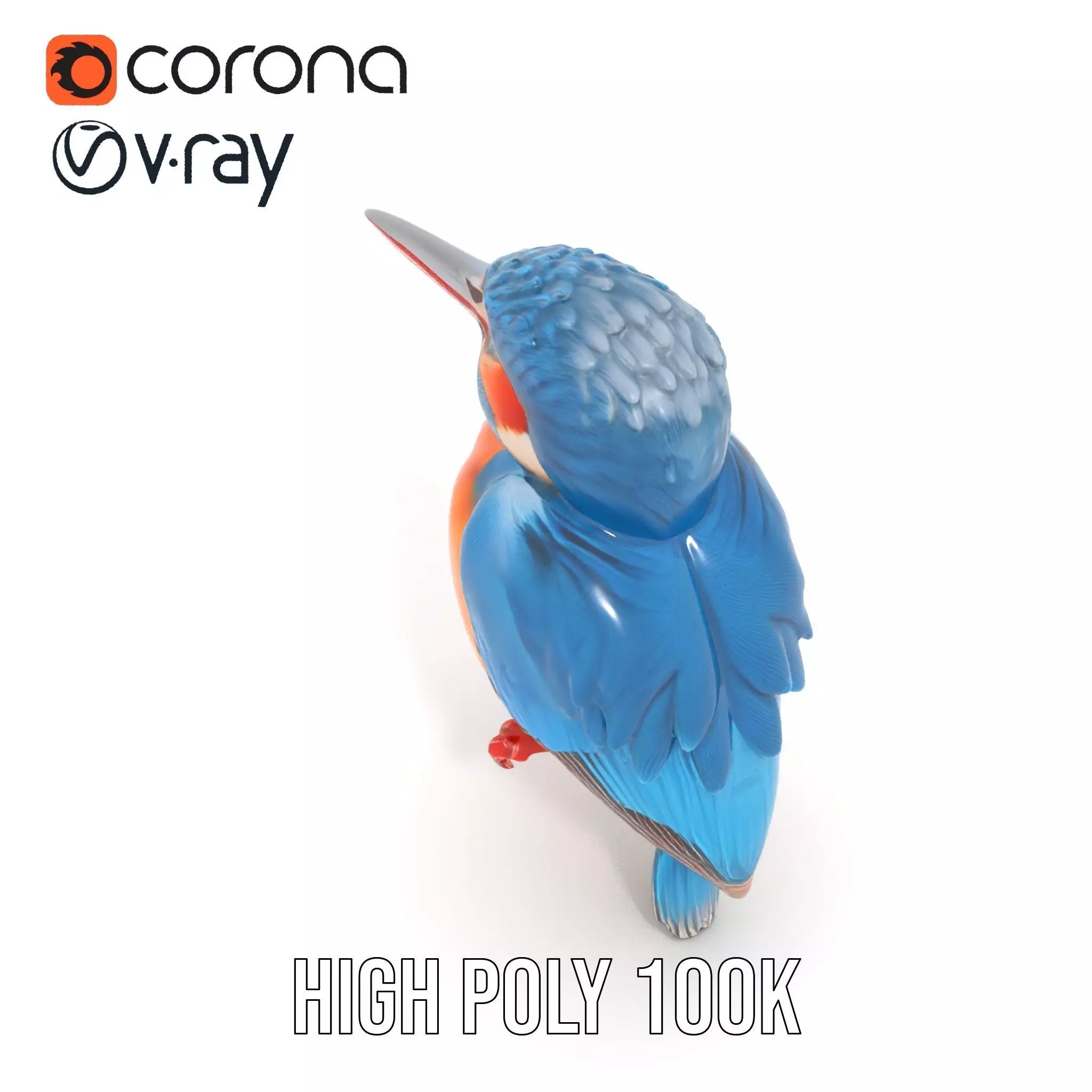 Vibrant Kingfisher Bird model pack Low-poly 3D model_23