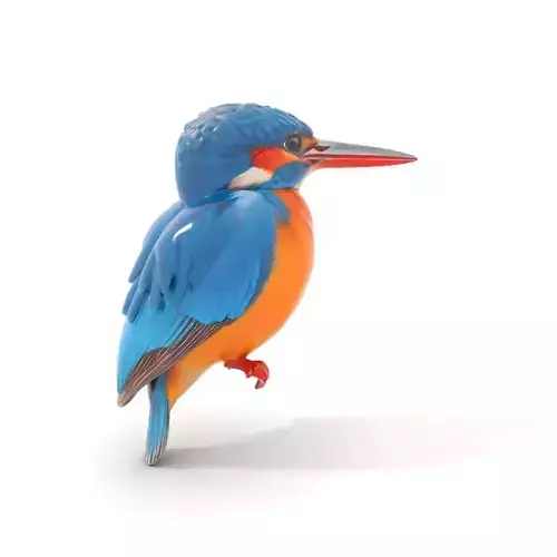 Vibrant Kingfisher Bird model pack Low-poly 3D model
