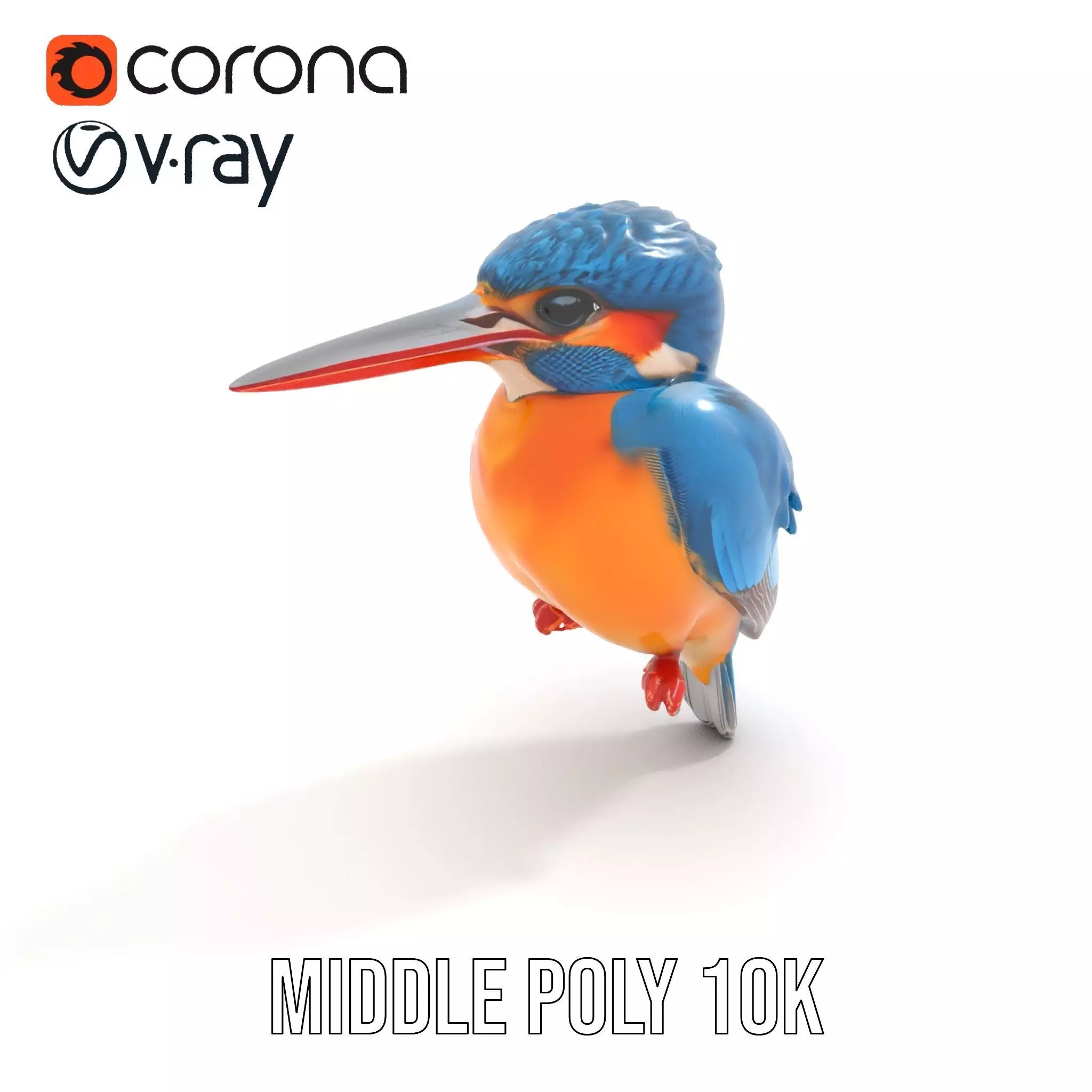 Vibrant Kingfisher Bird model pack Low-poly 3D model_18