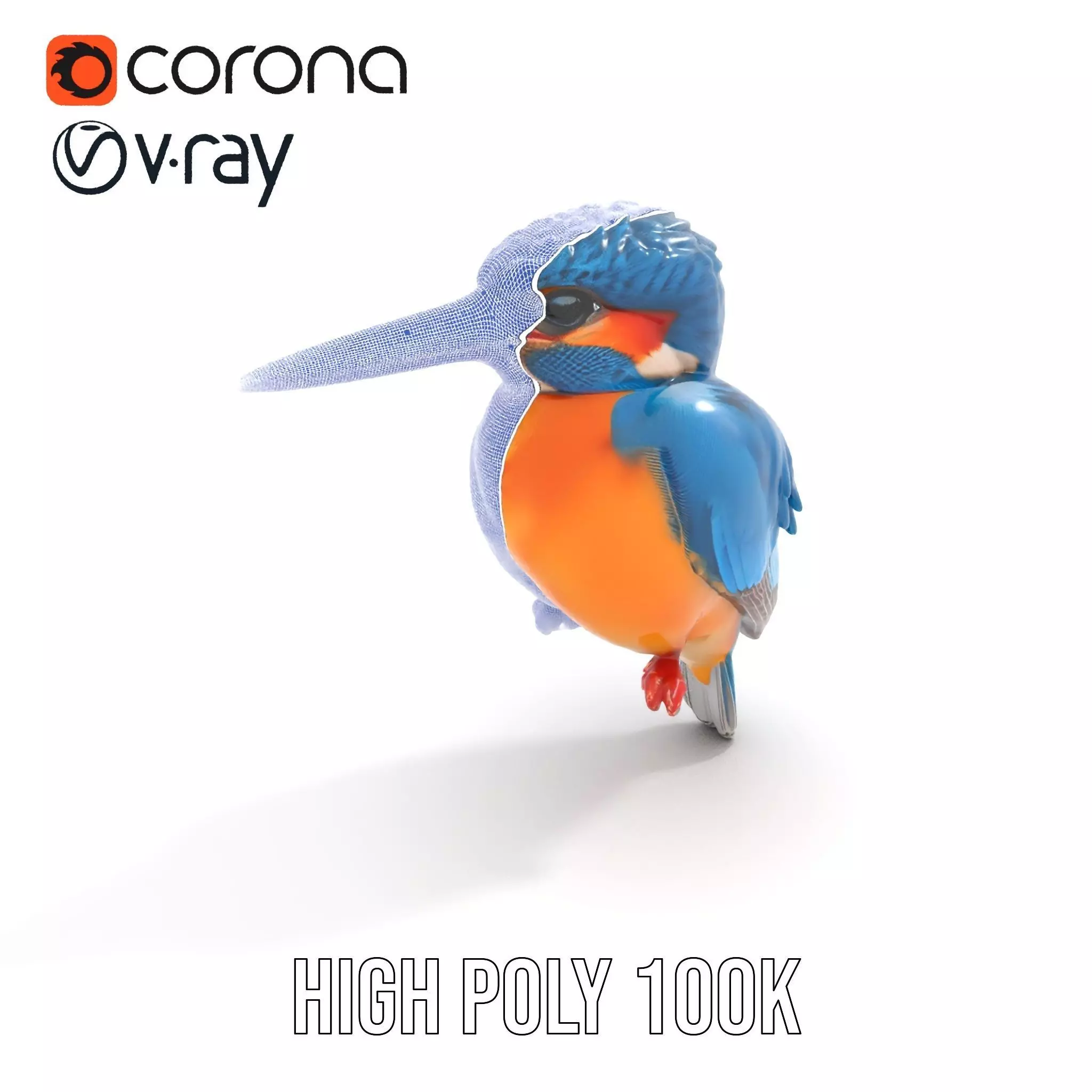 Vibrant Kingfisher Bird model pack Low-poly 3D model_32