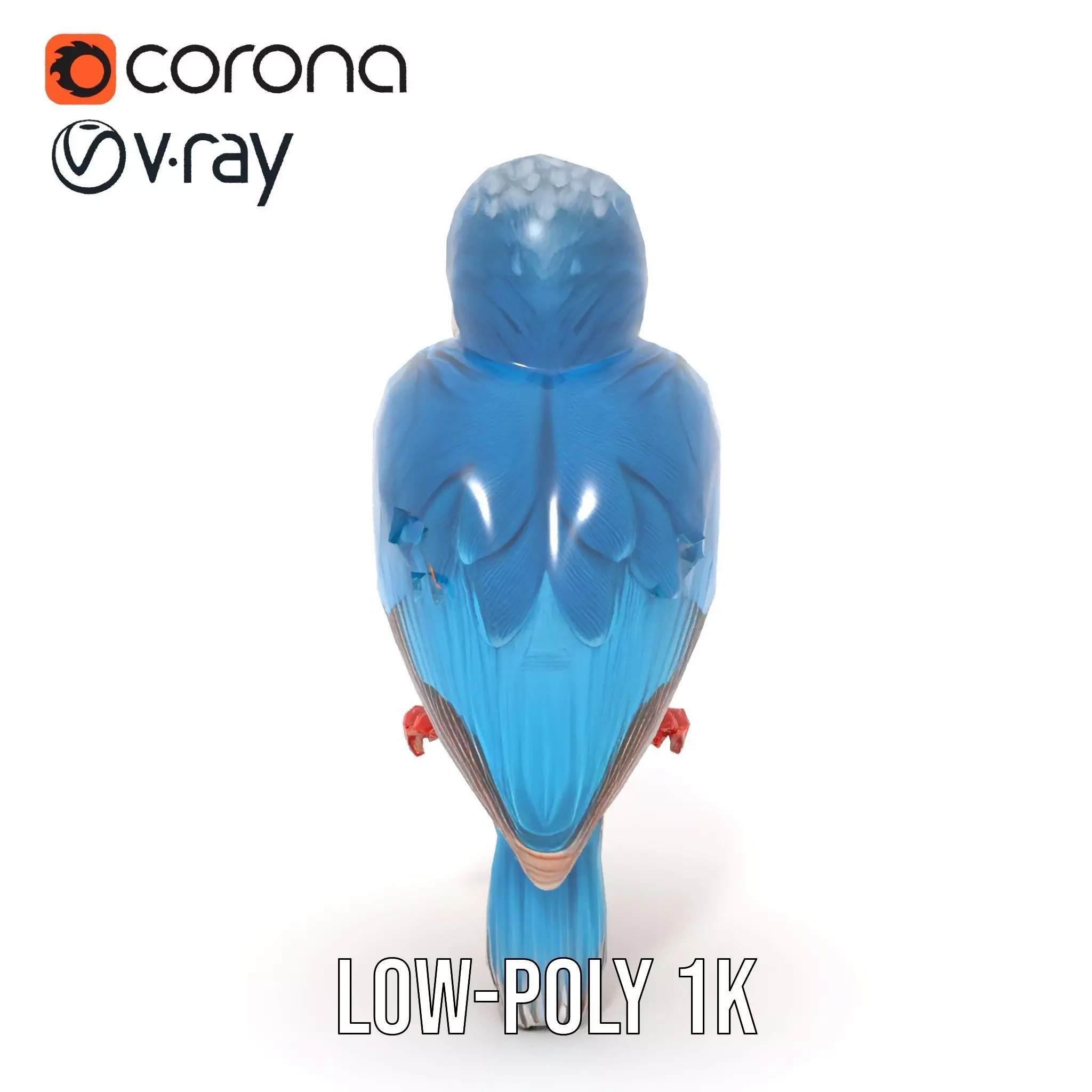 Vibrant Kingfisher Bird model pack Low-poly 3D model_28