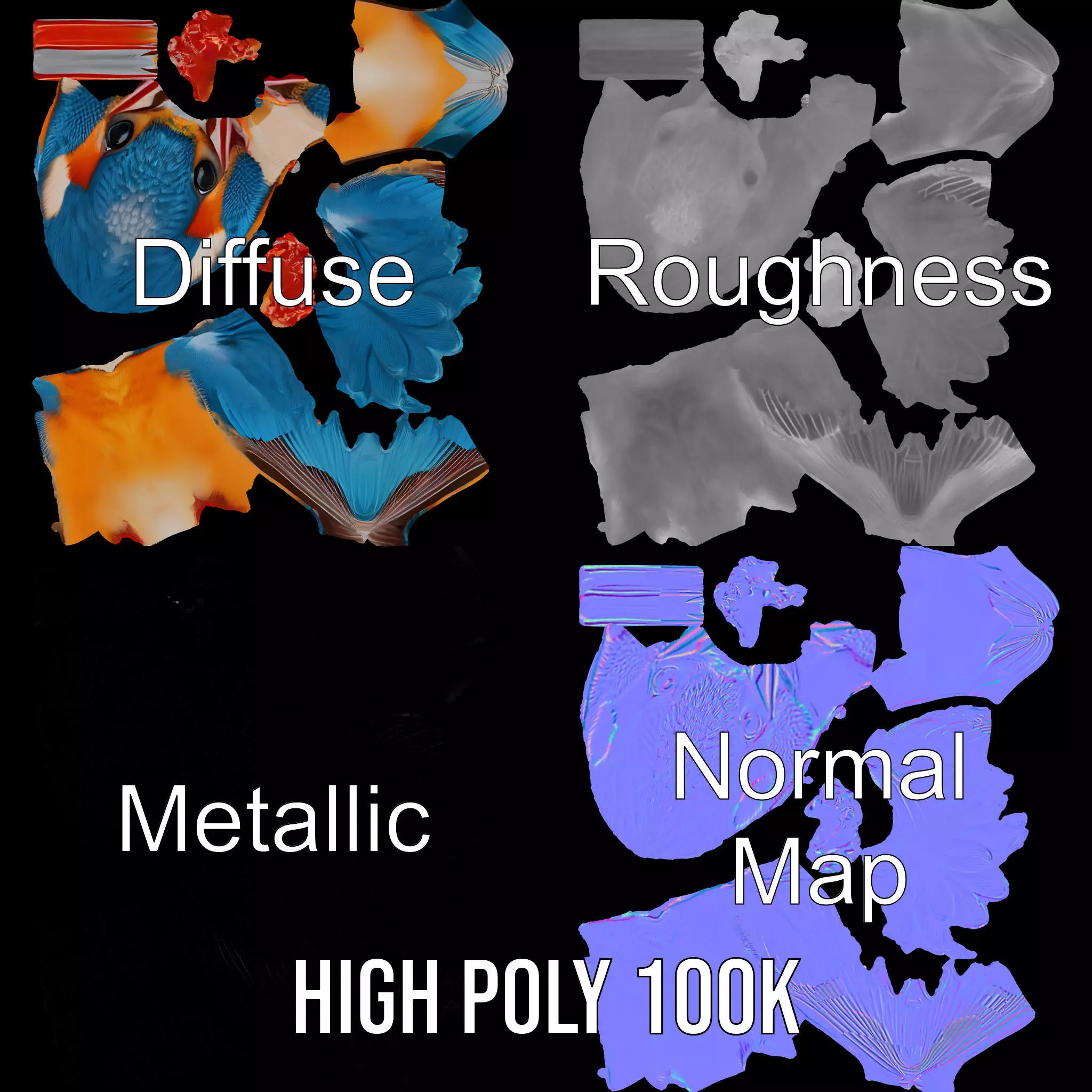 Vibrant Kingfisher Bird model pack Low-poly 3D model_3