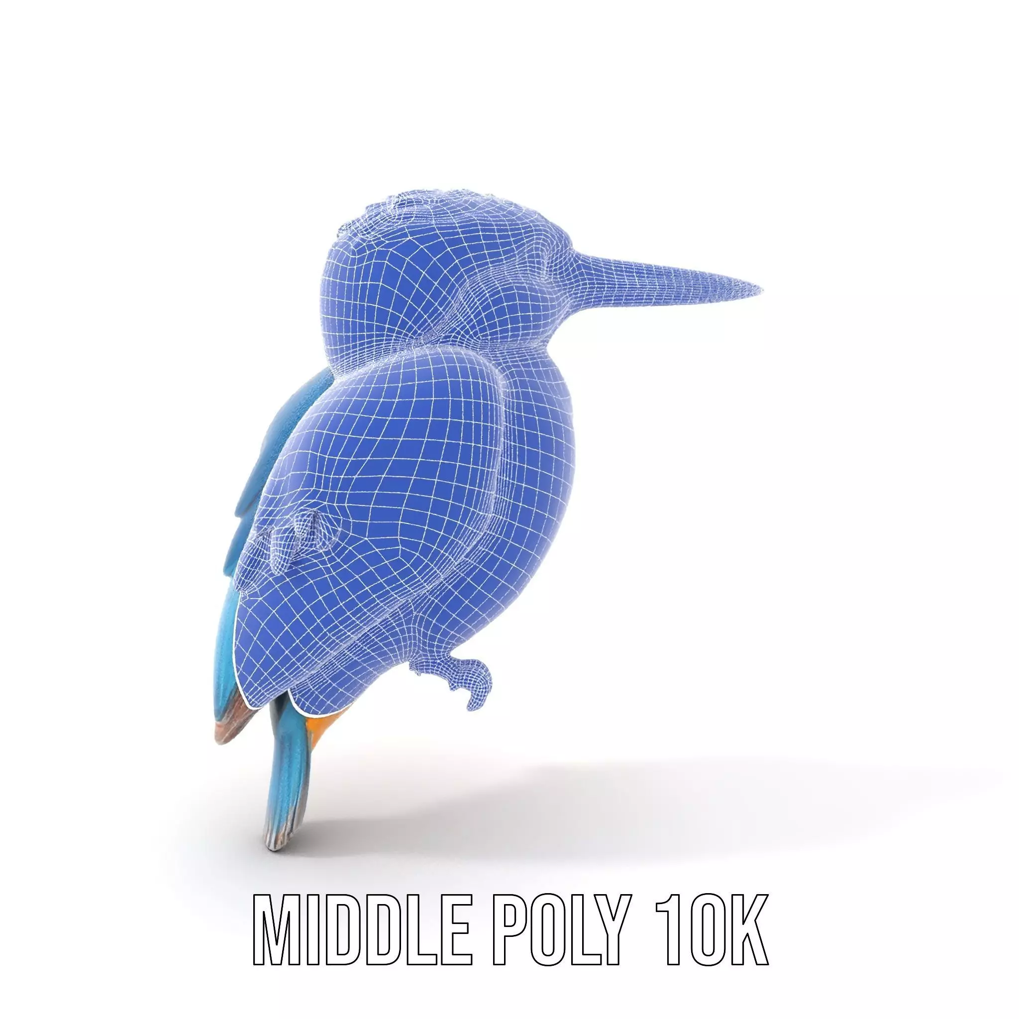 Vibrant Kingfisher Bird model pack Low-poly 3D model_13