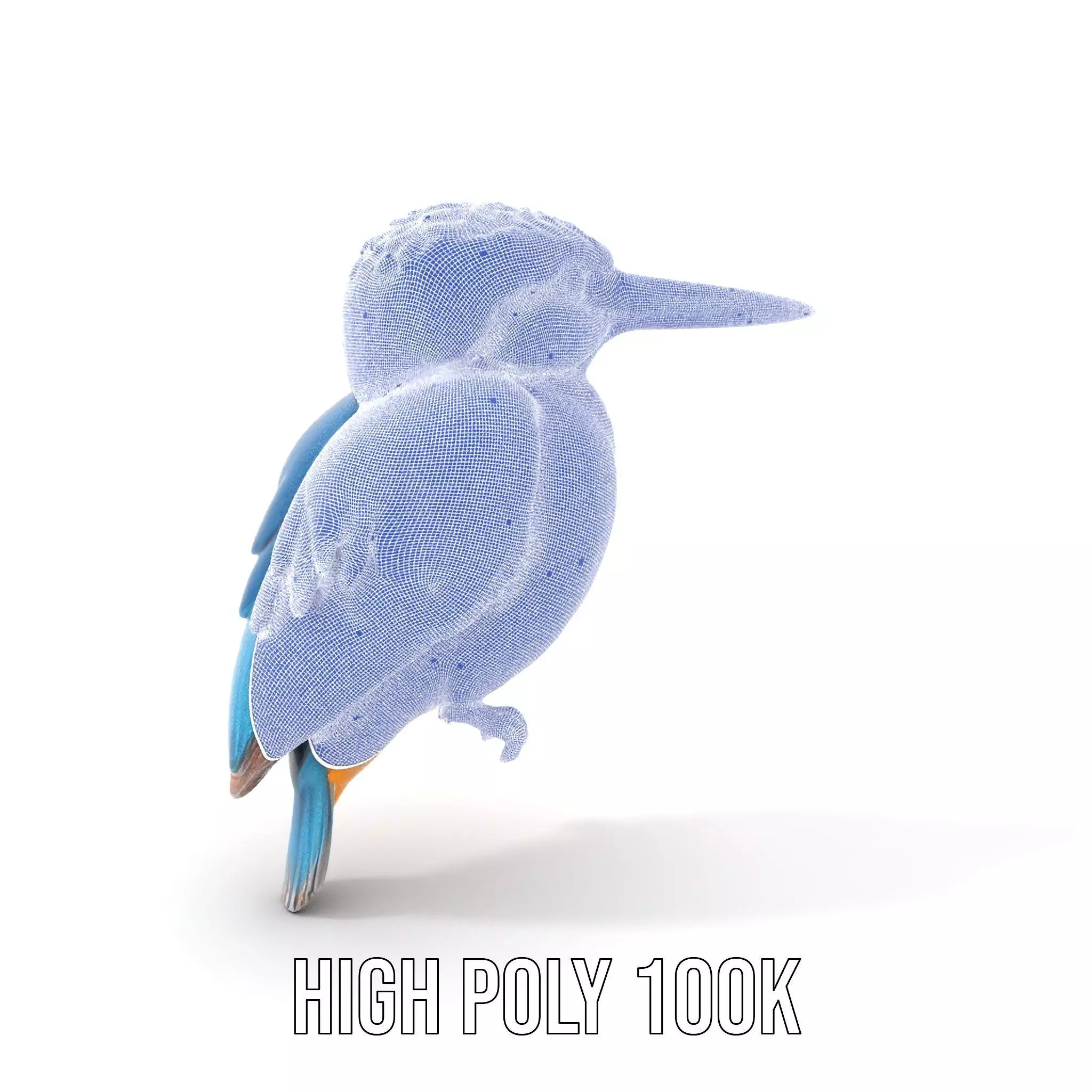 Vibrant Kingfisher Bird model pack Low-poly 3D model_4