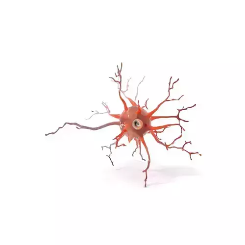 Realistic Neuron model pack