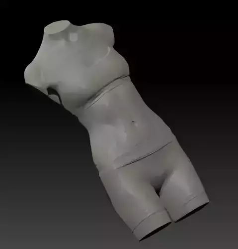 female torso 3D scan