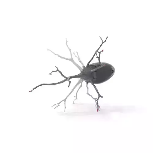 Intricate Neuron Structure model pack