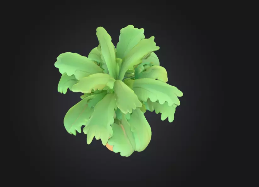 Tropical Palm Tree Low-poly 3D model_10