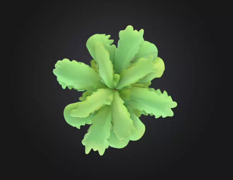 Tropical Palm Tree Low-poly 3D model_6